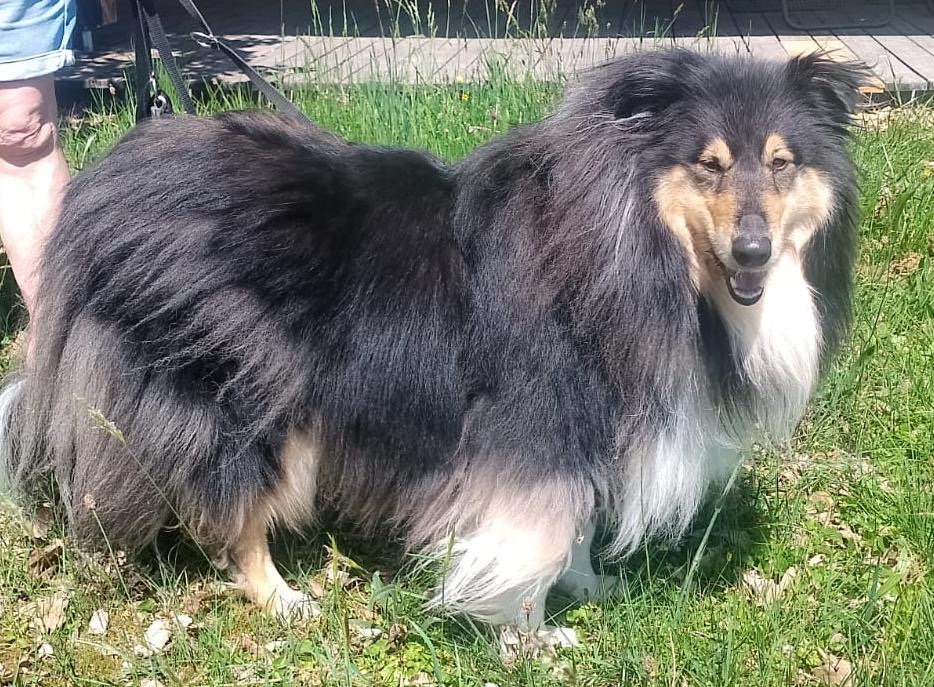 Holly mit 5 Jahren 