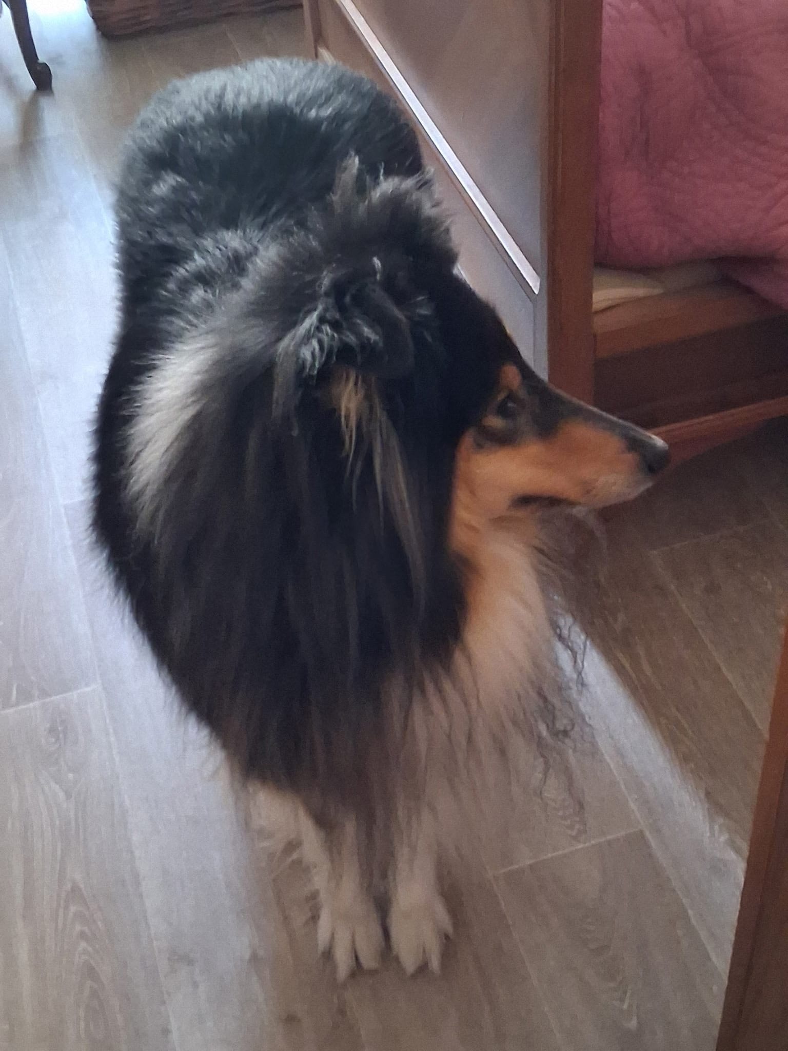 Luna mit 3 Jahren 