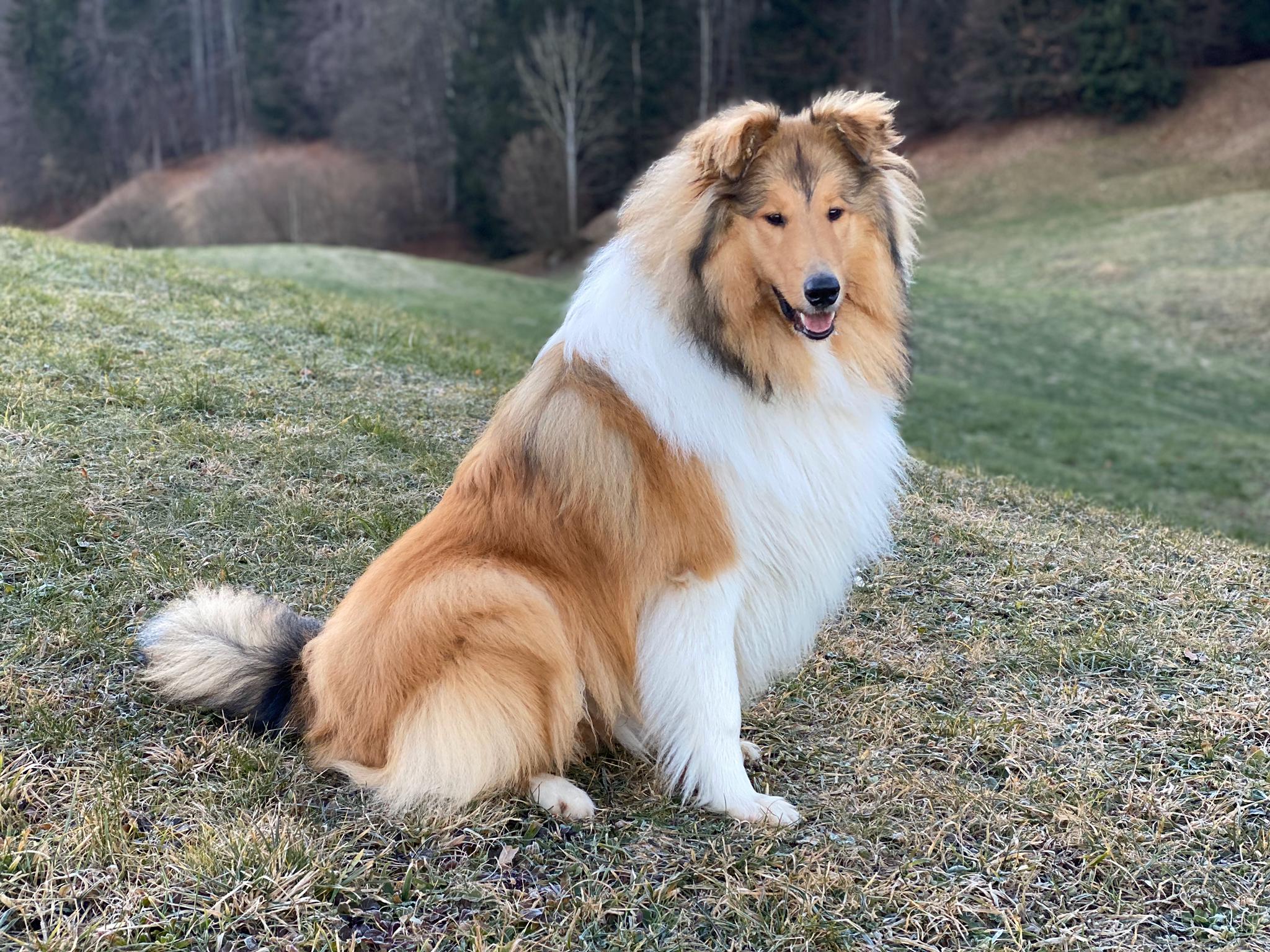 Eddie mit ca. 10 Monaten