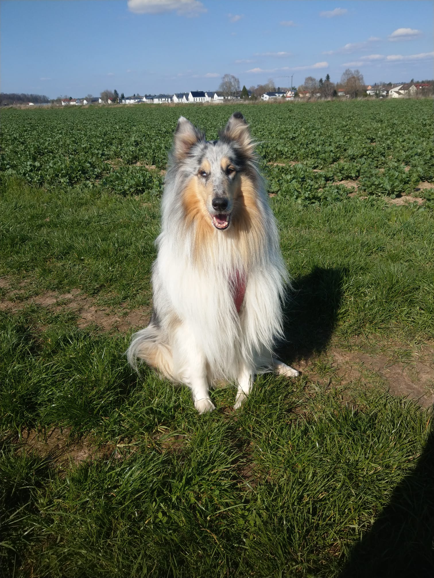 Cindy mit 5 Jahren 