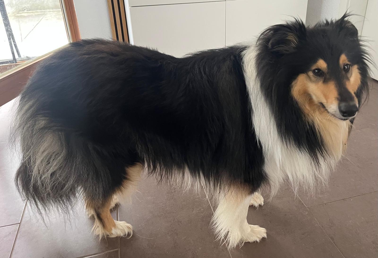 Joy mit 3 Jahren 