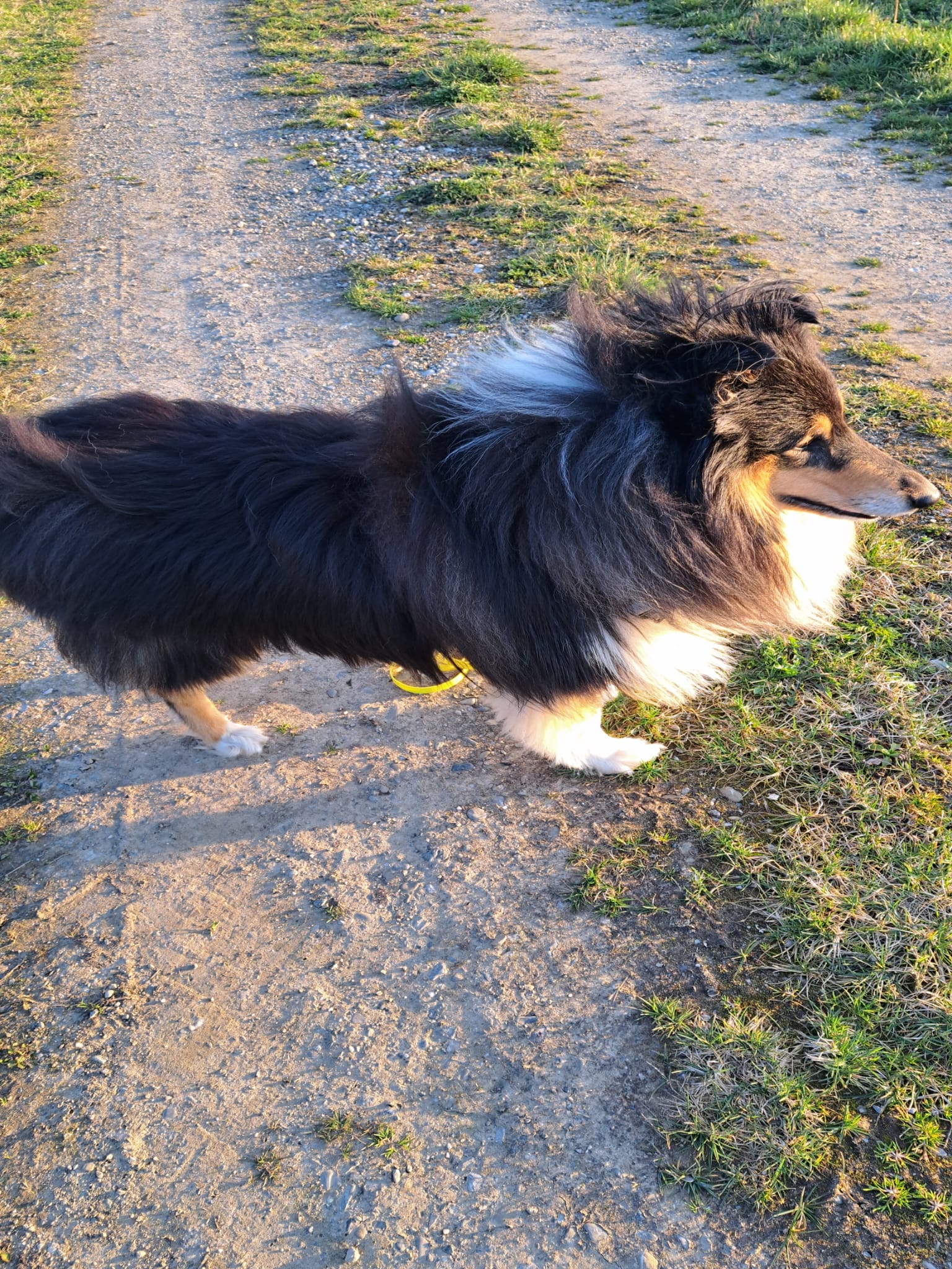 LeRoy mit 3 Jahren 