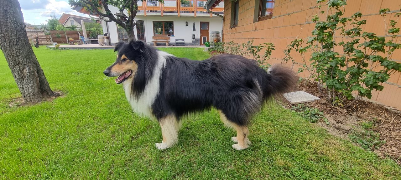Harry mit 3 Jahren 