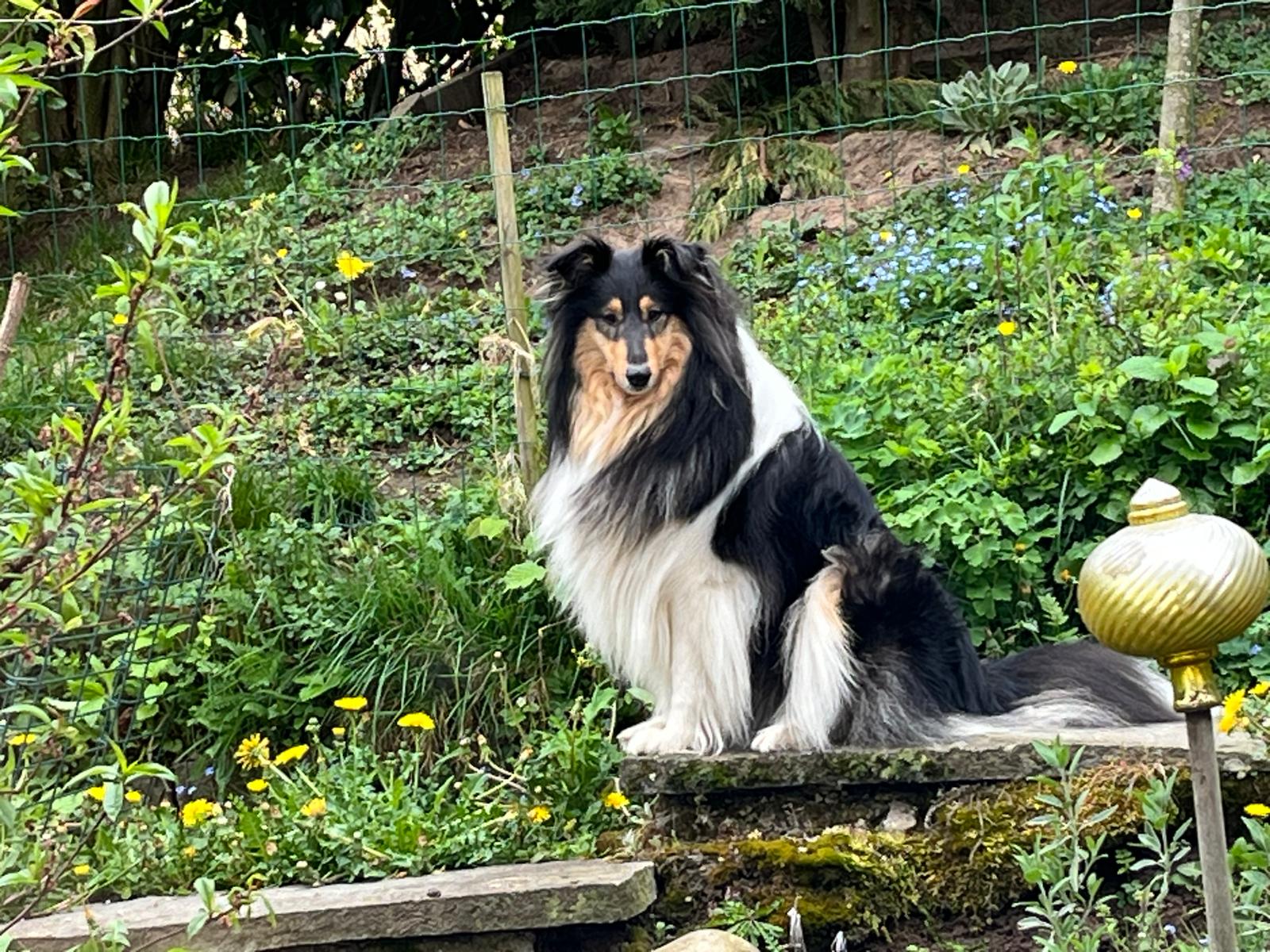 Minnie mit 2 Jahren 