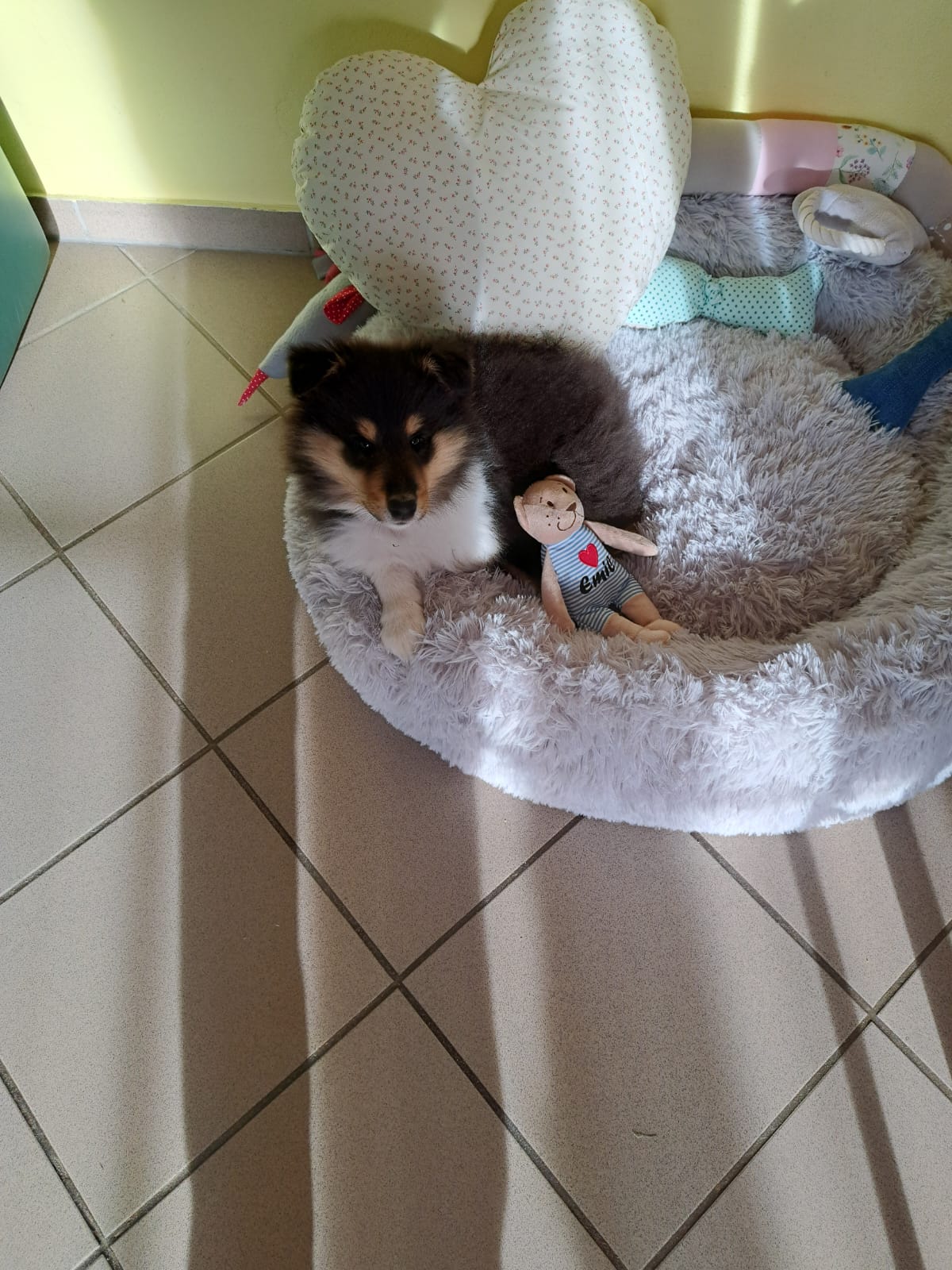 LeRoy 