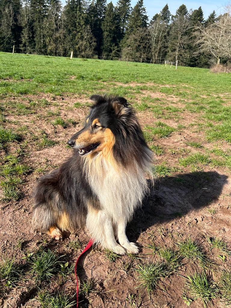 Chilly-Jo mit 5 Jahren 