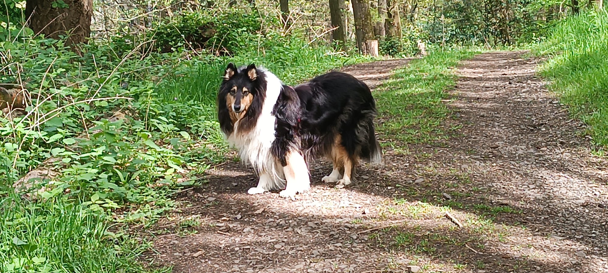 Amelia mit 9 Jahren 
