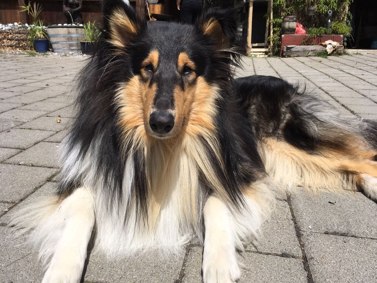 Alvin mit vier Jahren