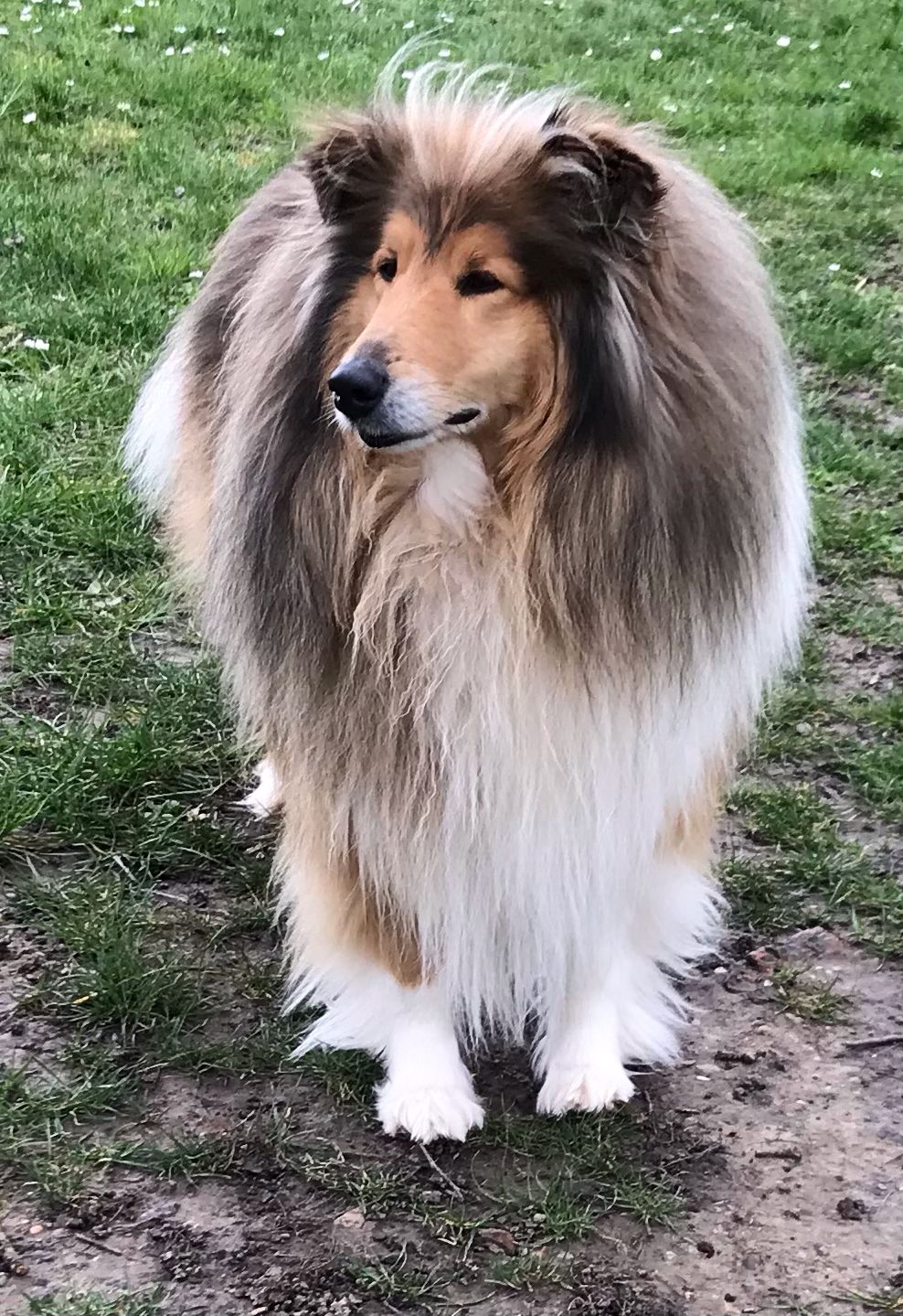 Enno mit 4 Jahren 