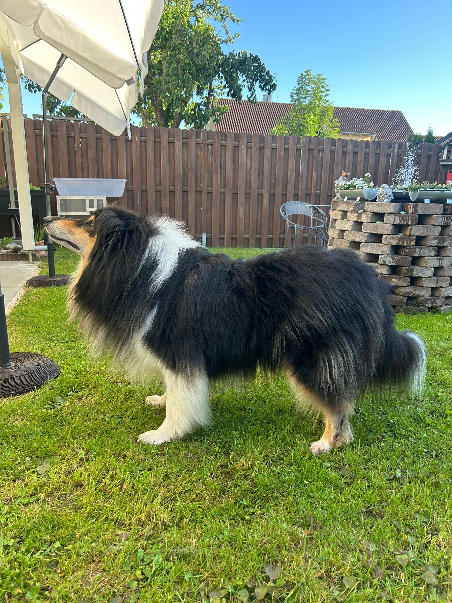 Jack mit 4 Jahren 