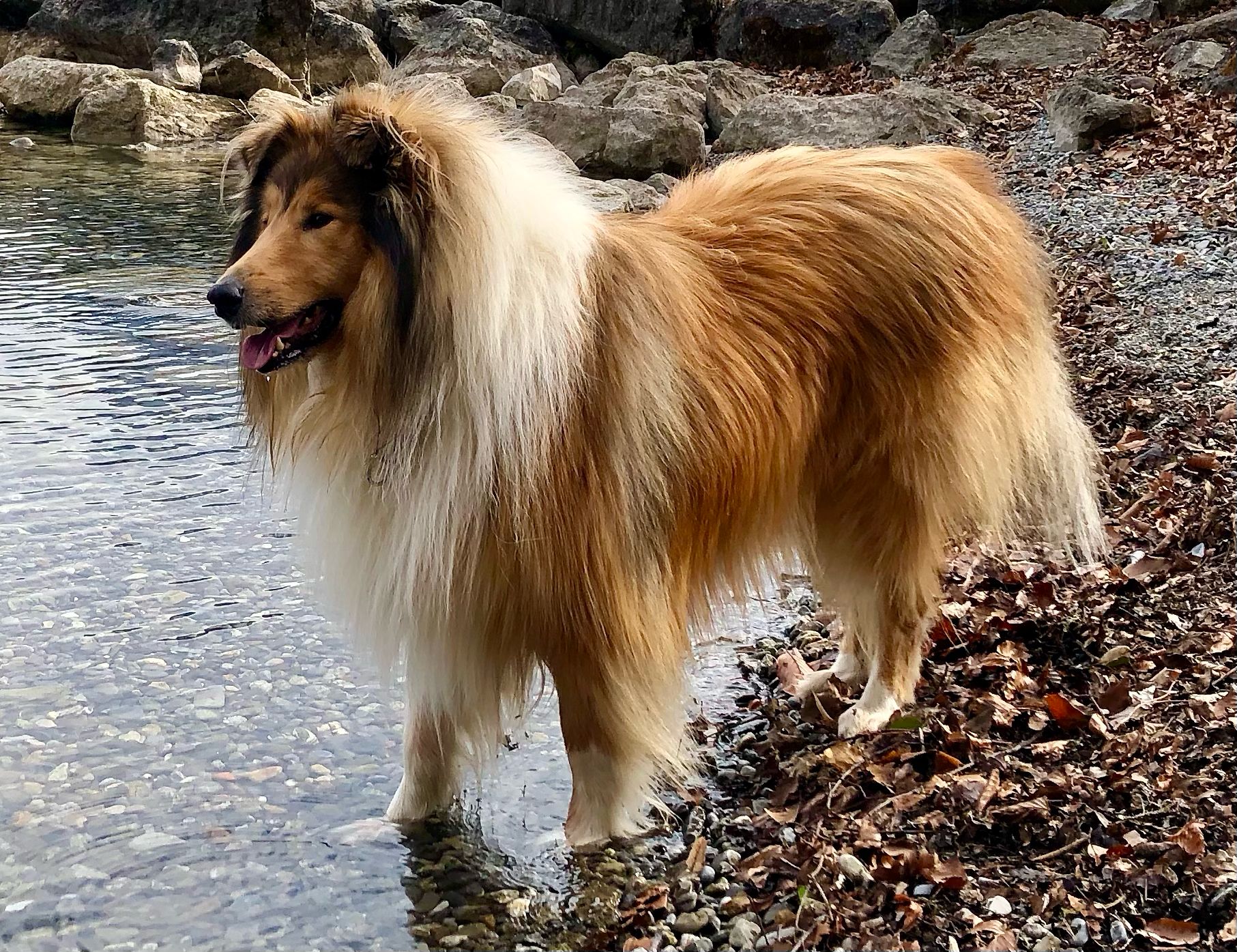 Eddie mit 4 Jahren 