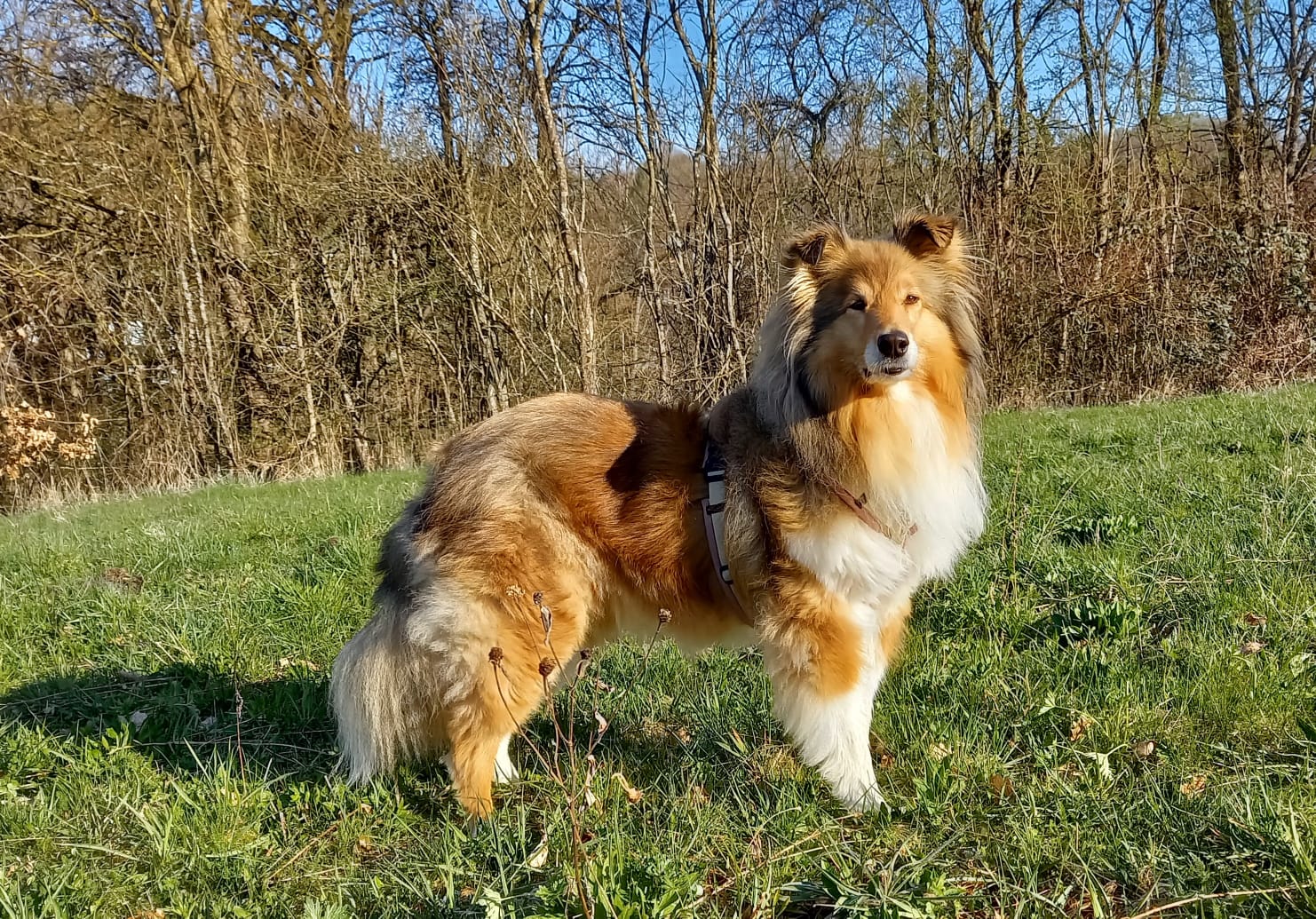Elena mit 7 Jahren 