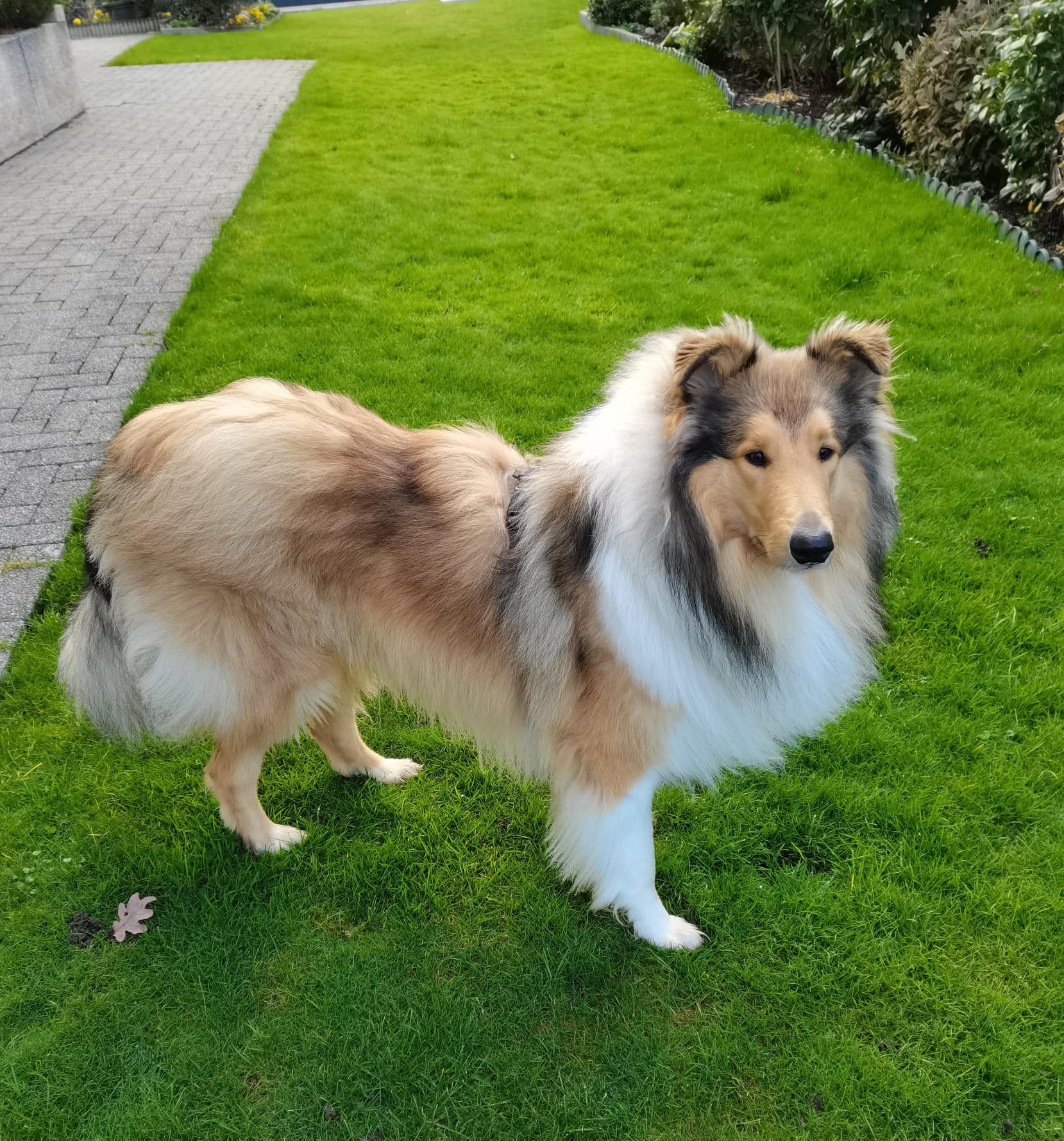 Indiana Jones mit 12 Monaten 