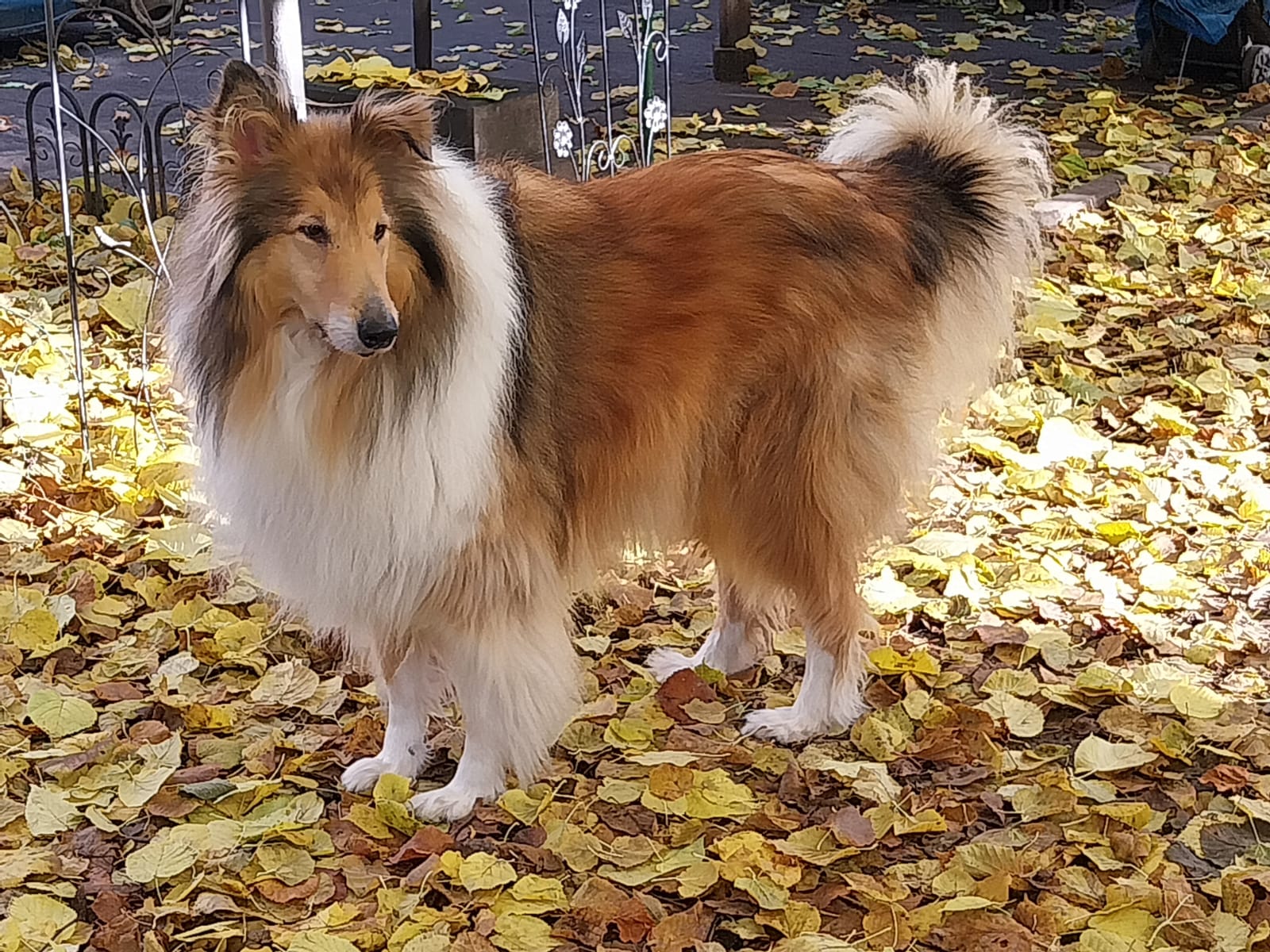 Diego mit 6 Jahren 