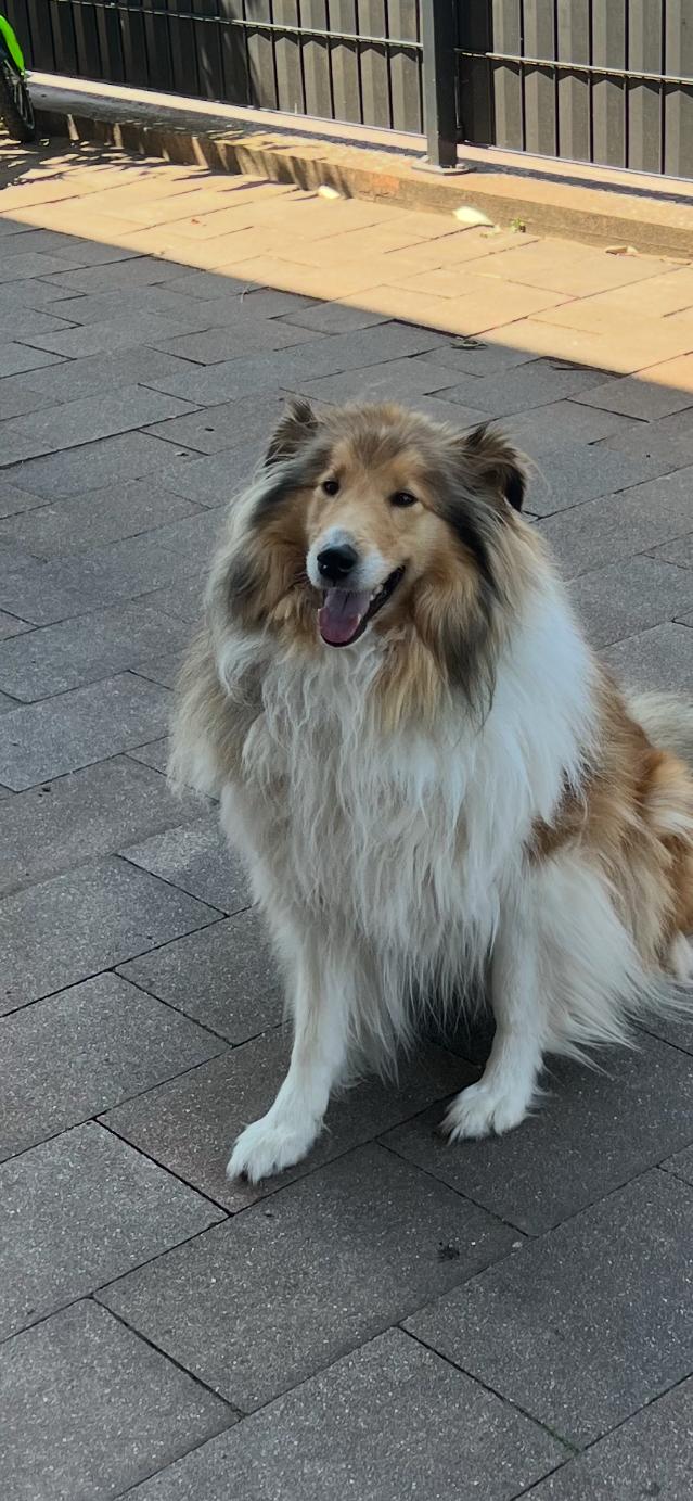 Fee mit 5 Jahren 