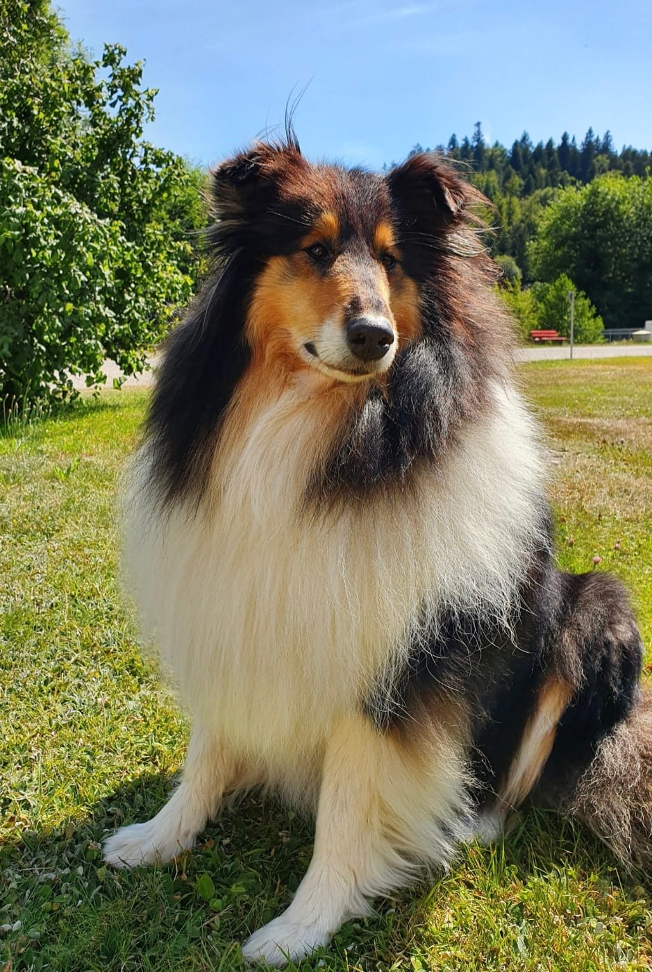 Bea mit 5 Jahren 