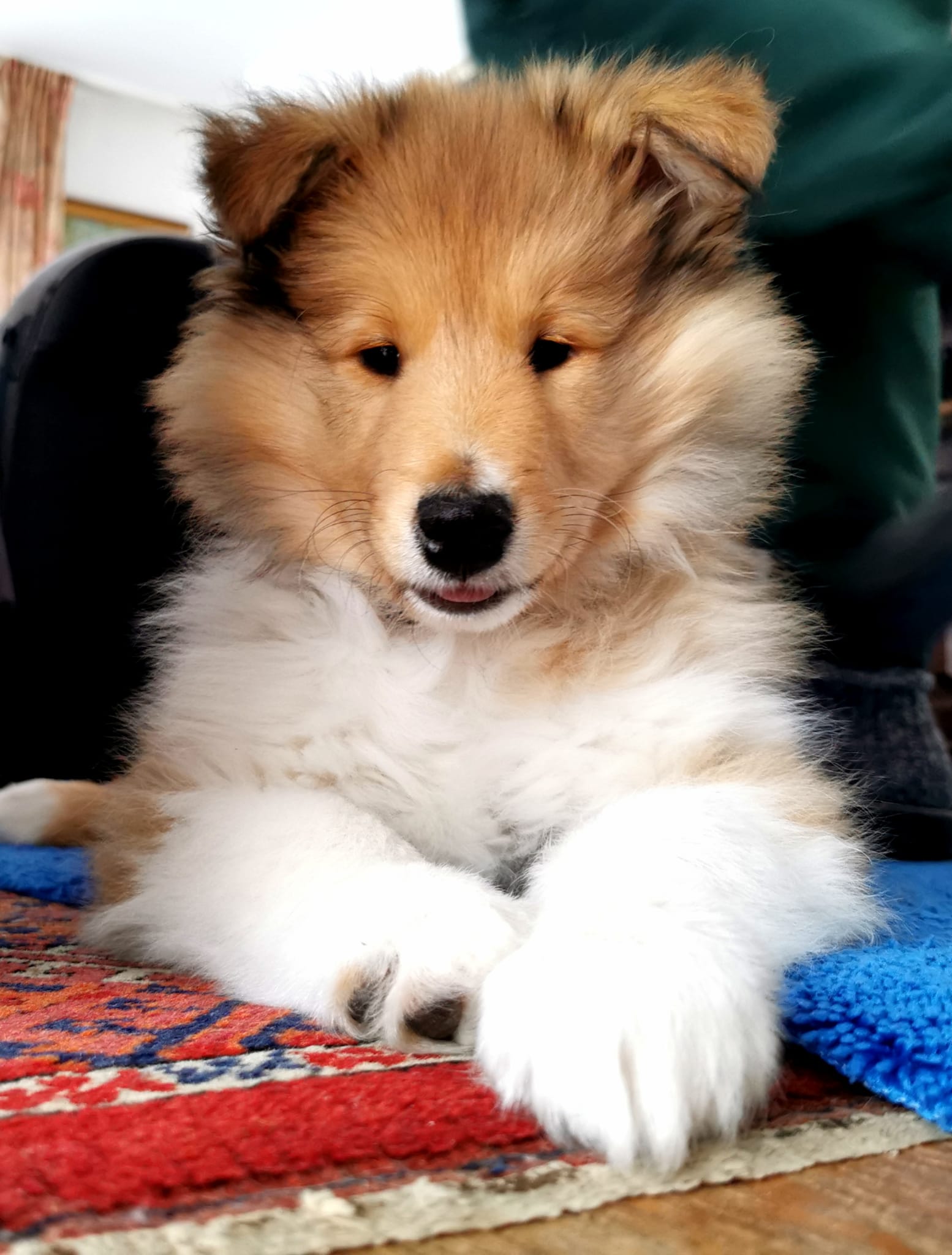 Infinity im neuen Zuhause