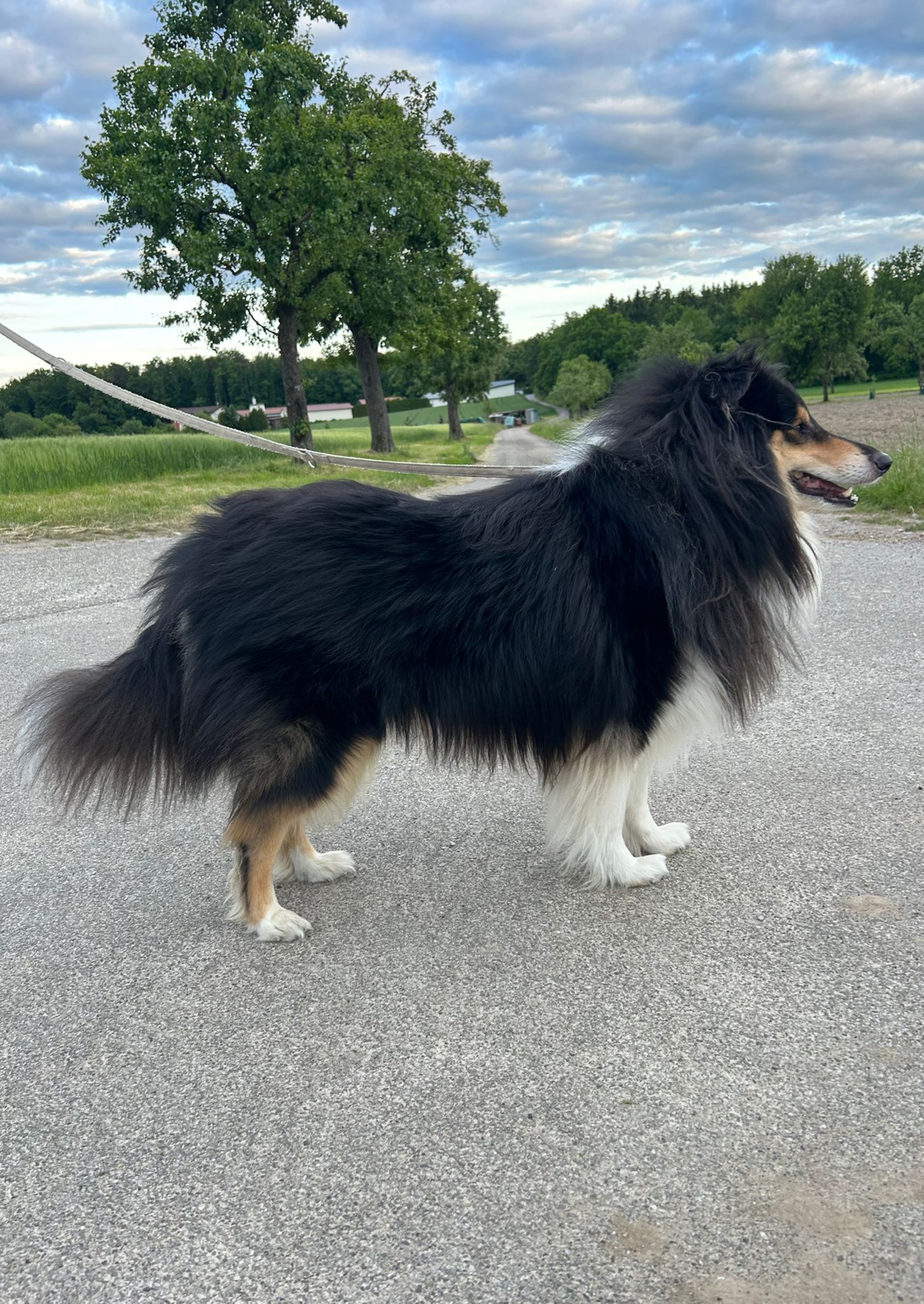 Jack mit 3 Jahren 