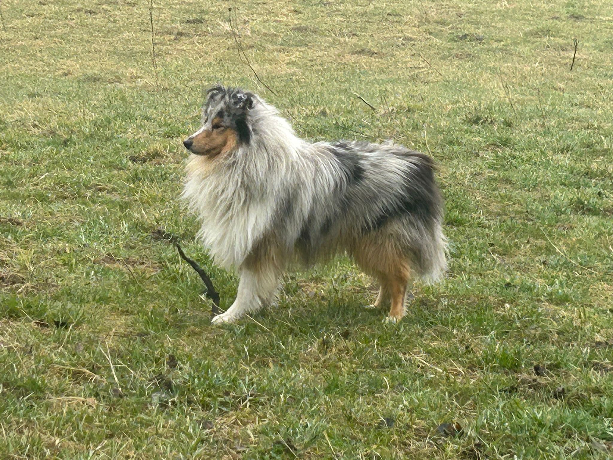 Lynn mit 2 Jahren 