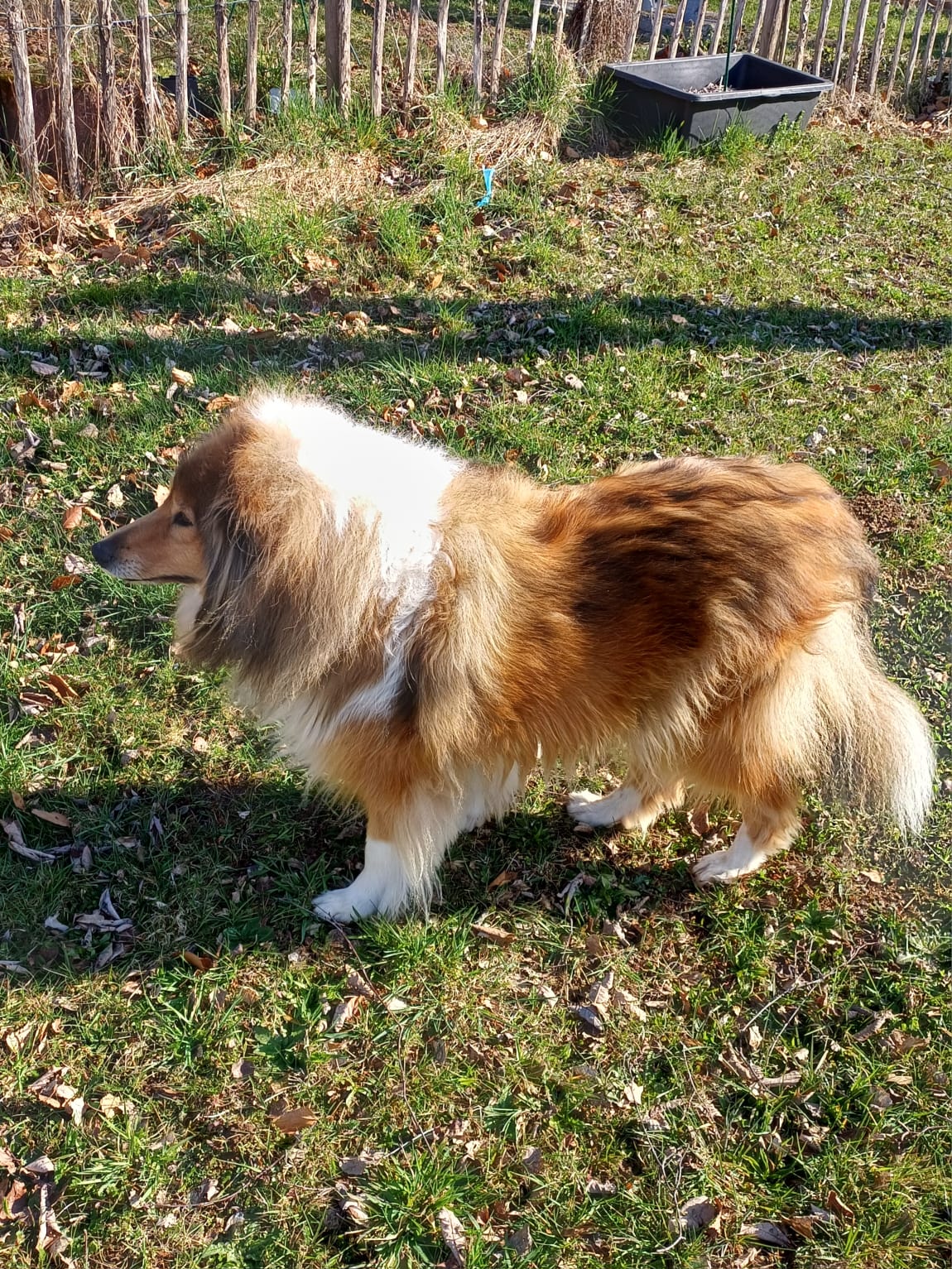 Elsa mit 7 Jahren 