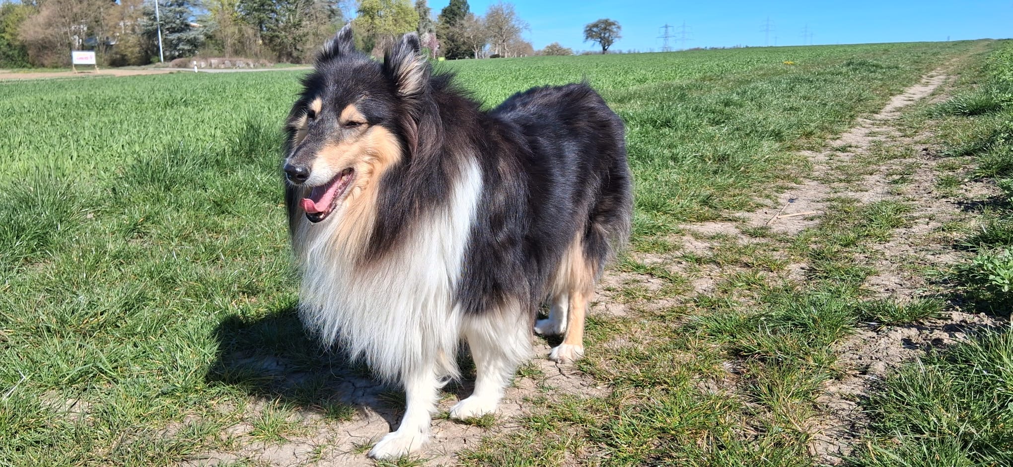 Cora mit 8 Jahren 