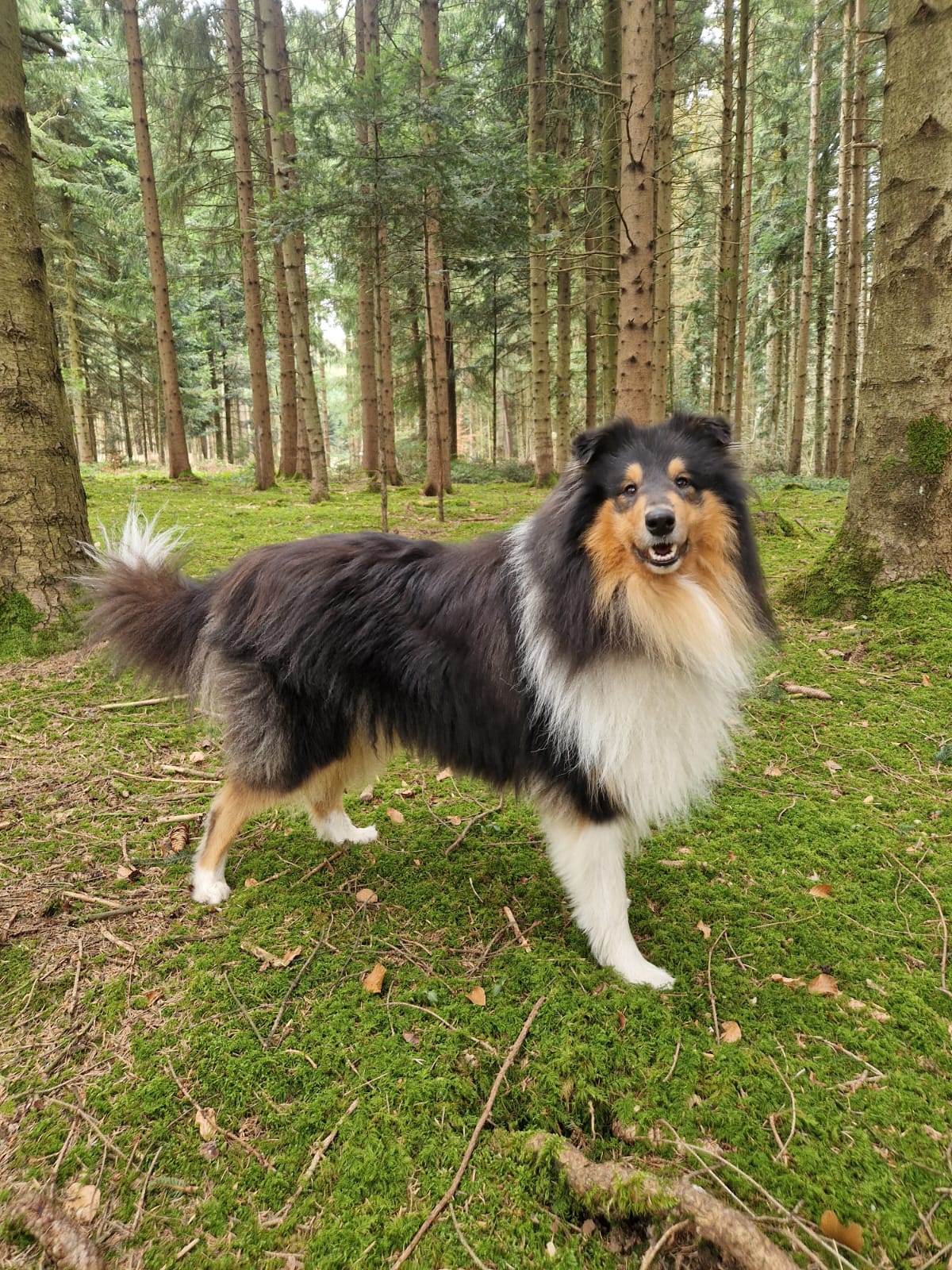 Leo mit 2 Jahren 