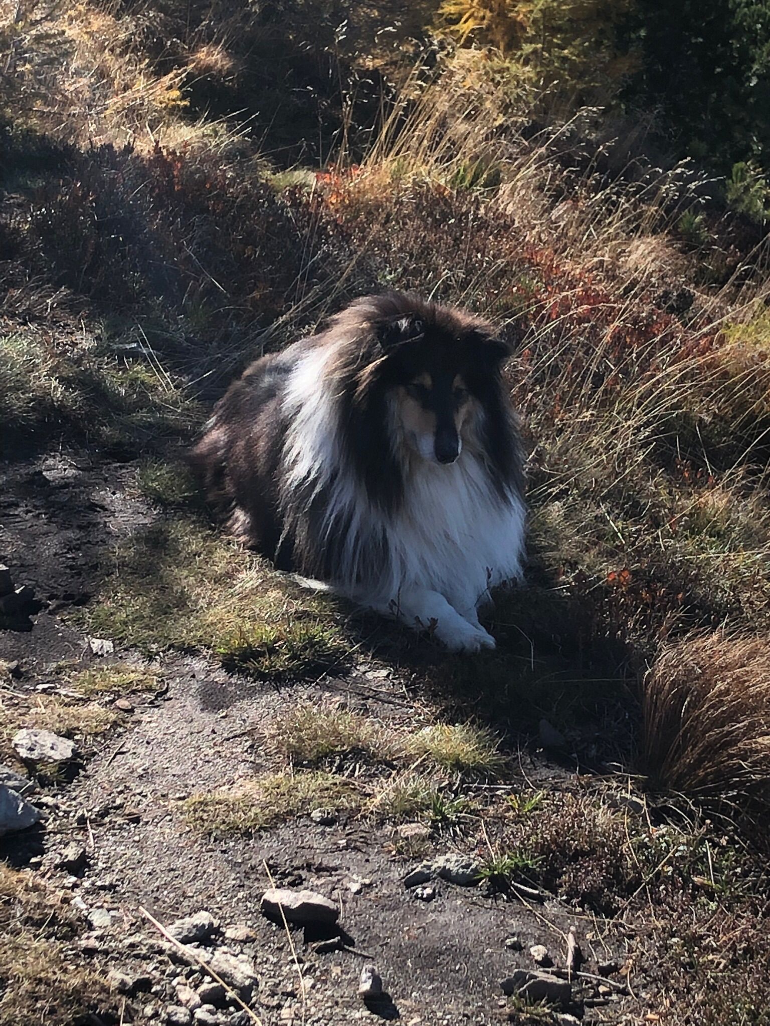 Enya mit 4 Jahren 