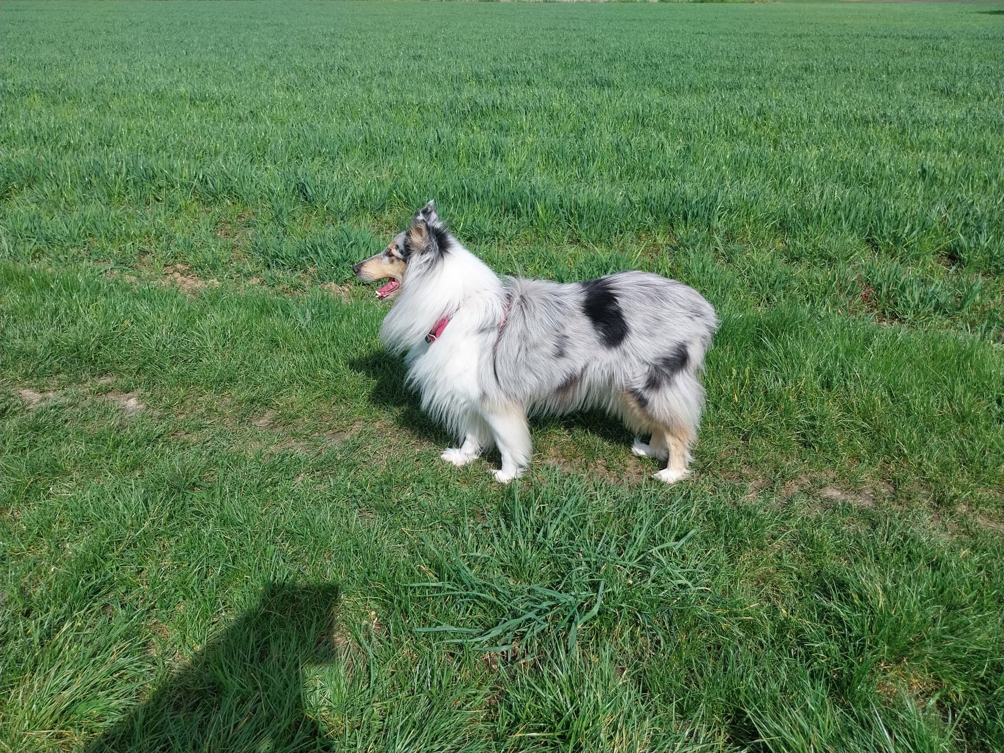 Cindy mit 6 Jahren 