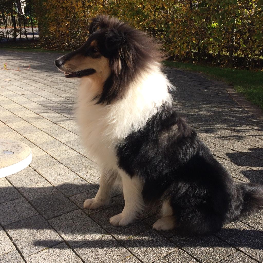 Enya mit 12 Monaten