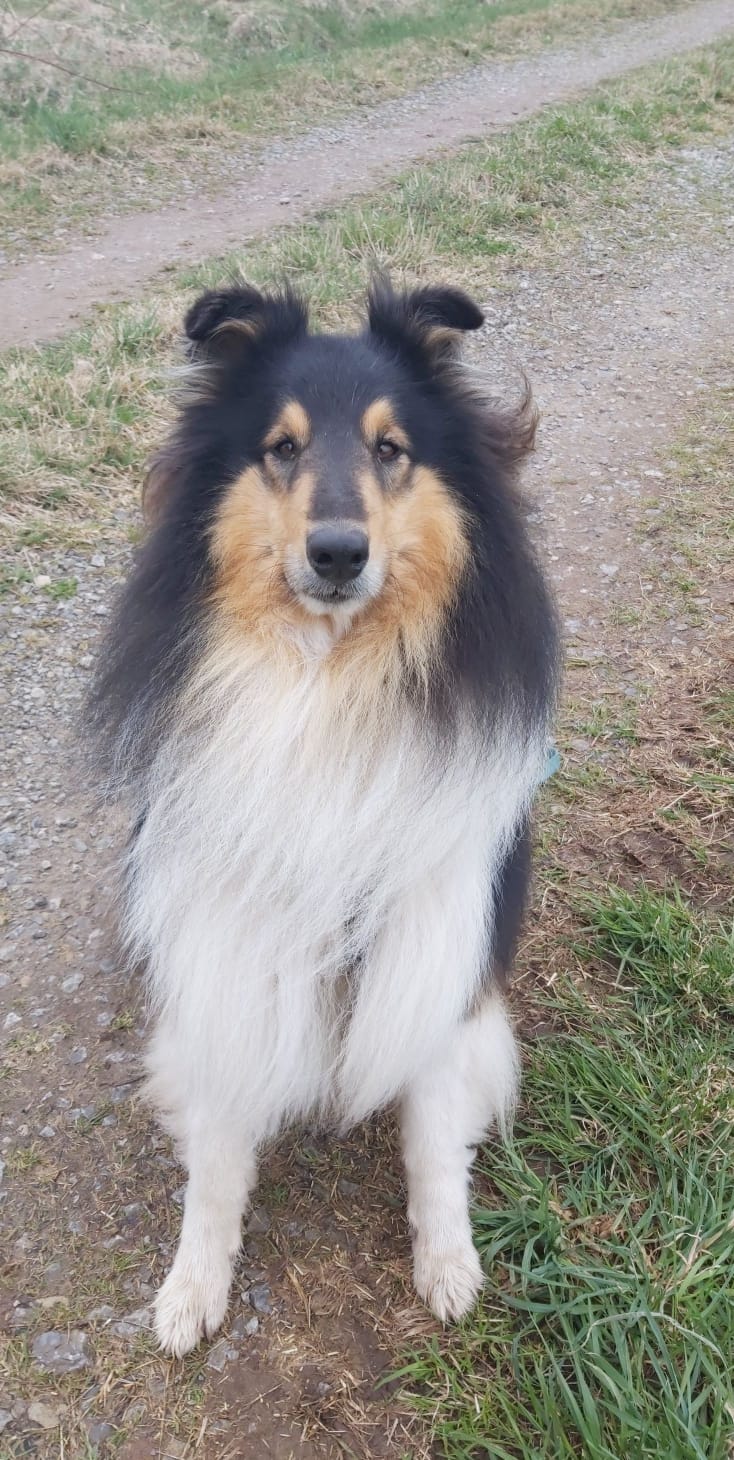Chilly-Jo mit 4 Jahren