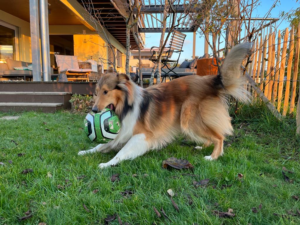 Iron Men mit 12 Monaten 