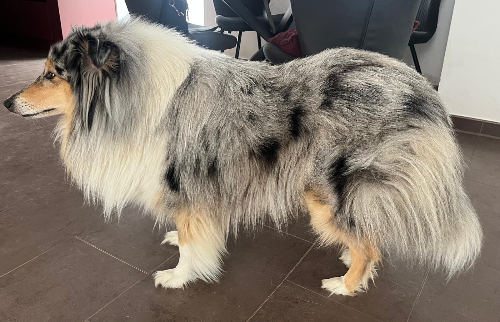 Jelena mit 3 Jahren 