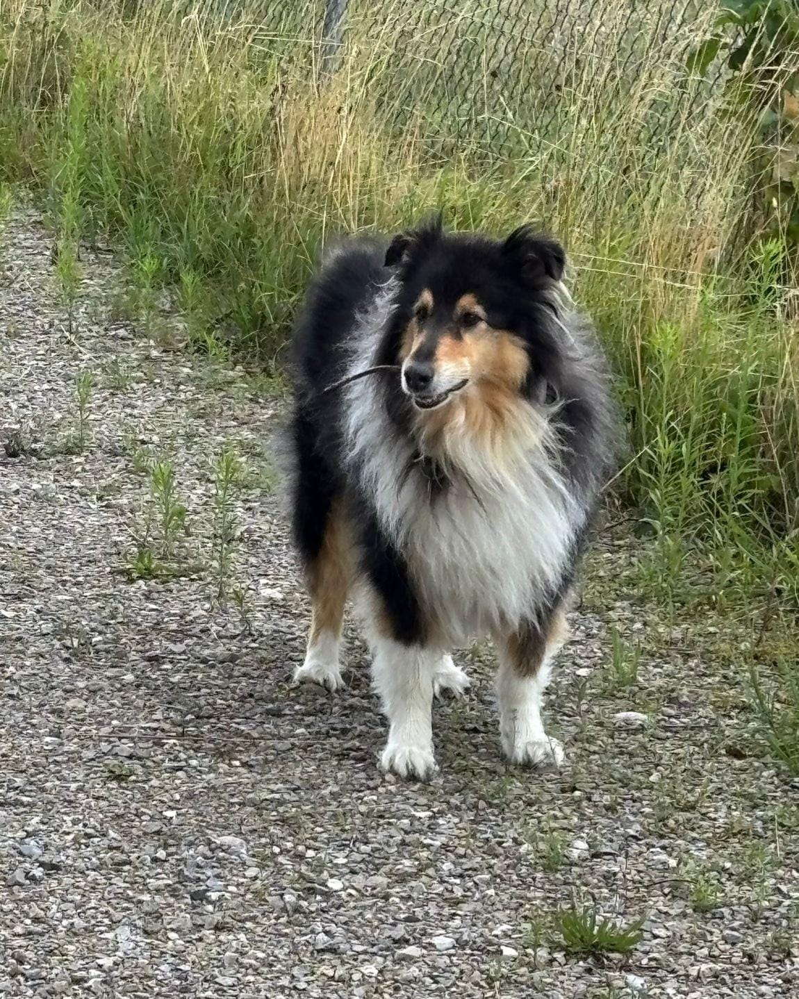Benny mit 8 Jahren 