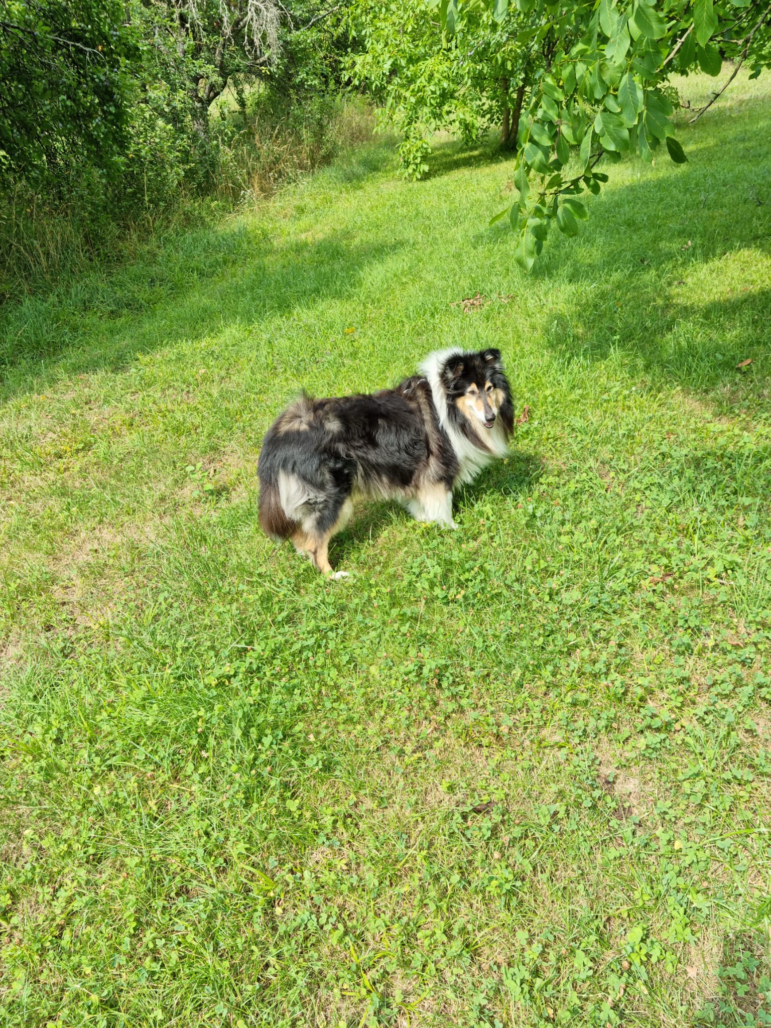 Betty mit 8 Jahren