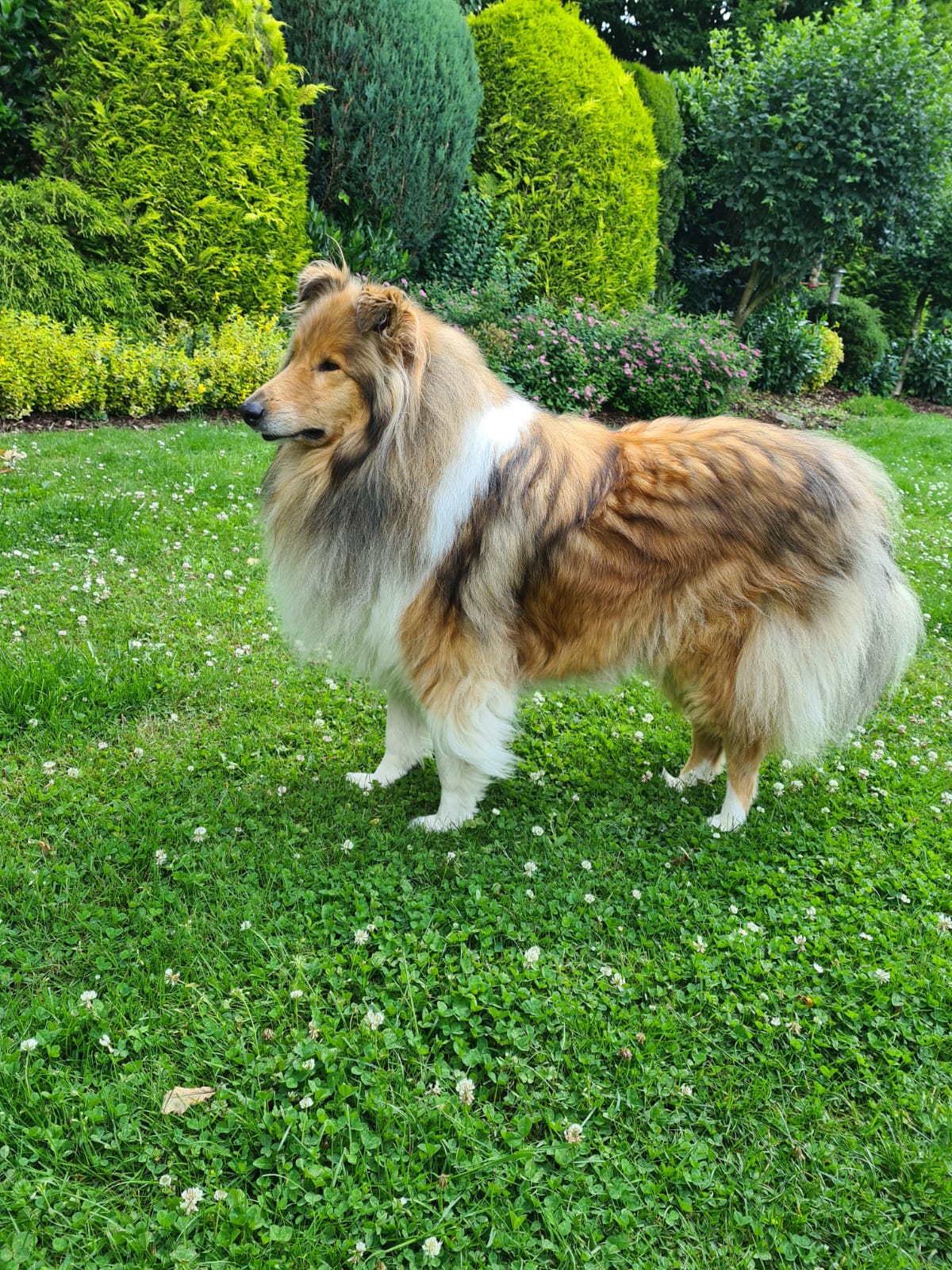 Finn mit 5 Jahren 