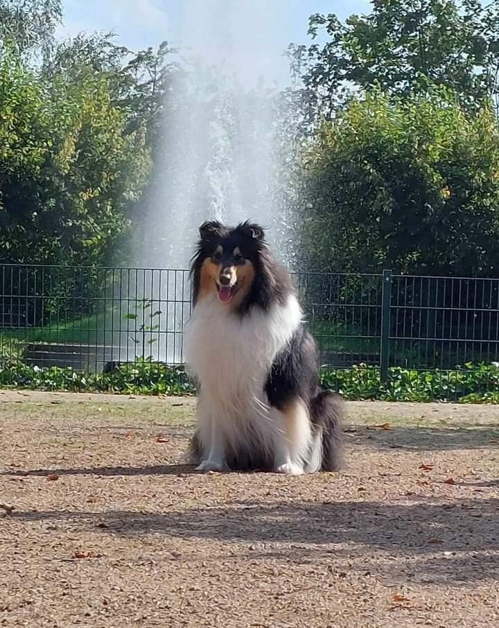 Ginny mit knapp 3 Jahren 