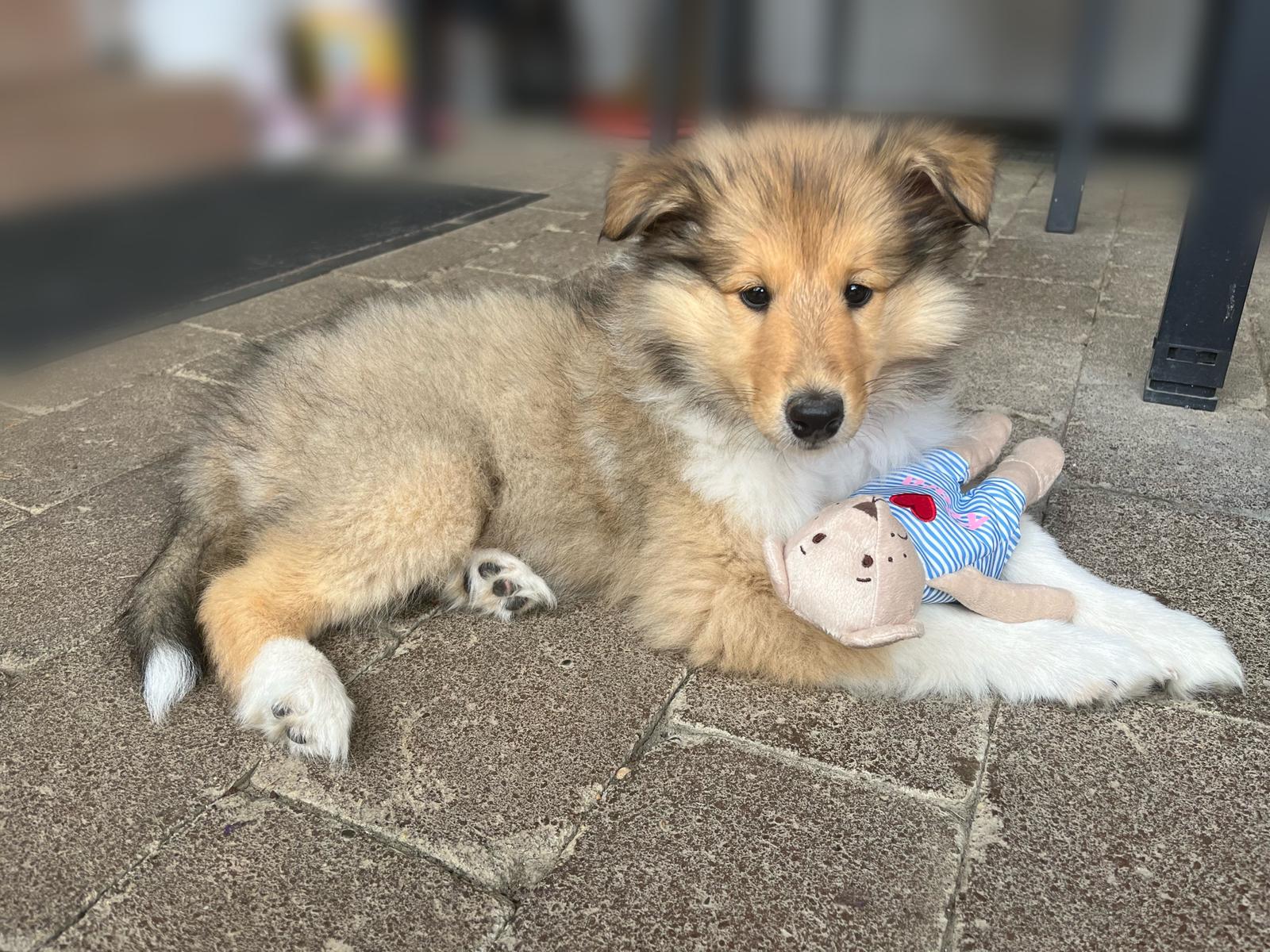 Klara im neuen Zuhause 