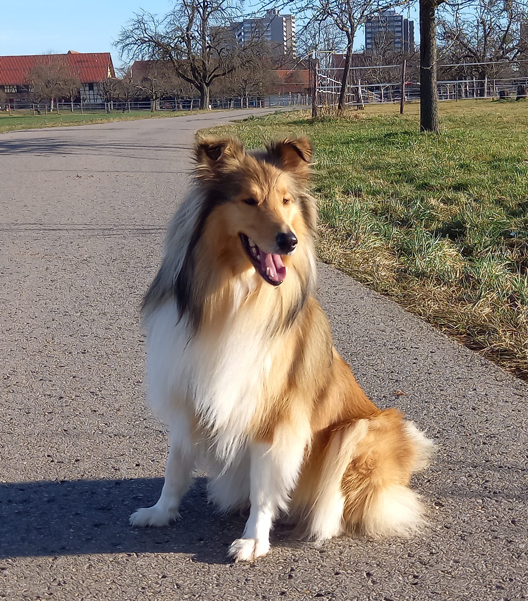 Elena mit 3 Jahren