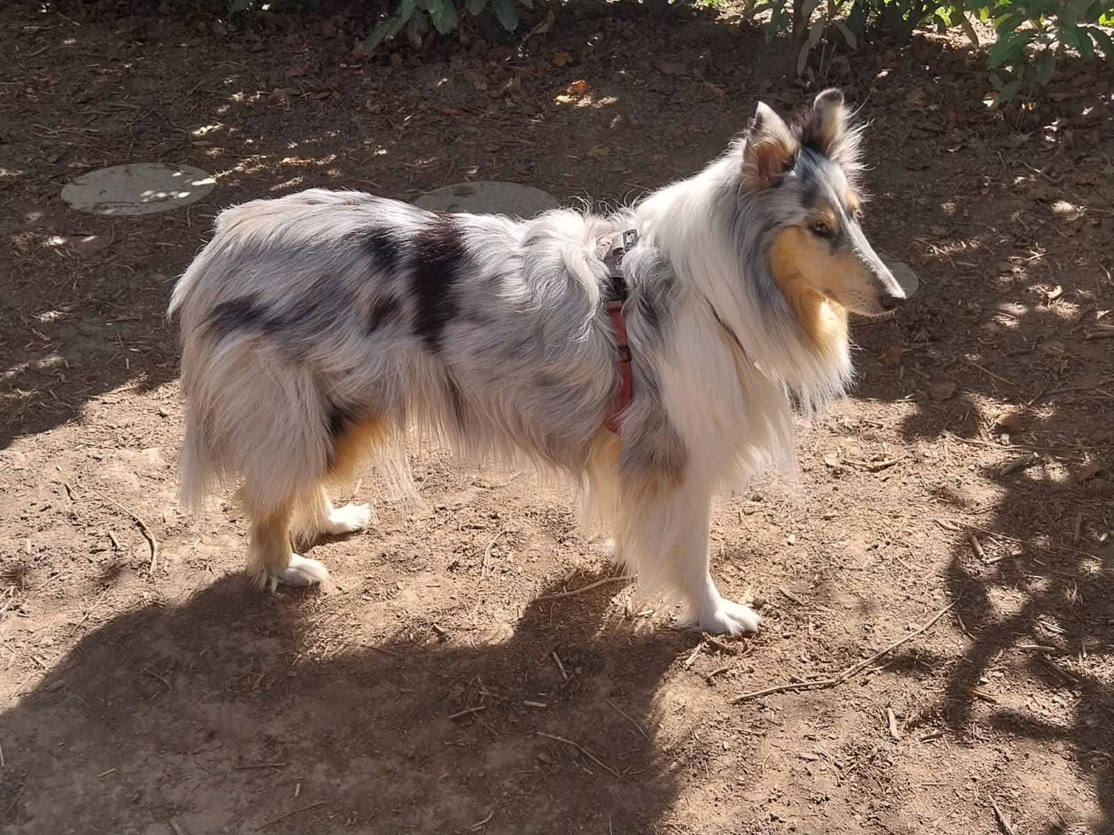 Cindy mit 7 Jahren 