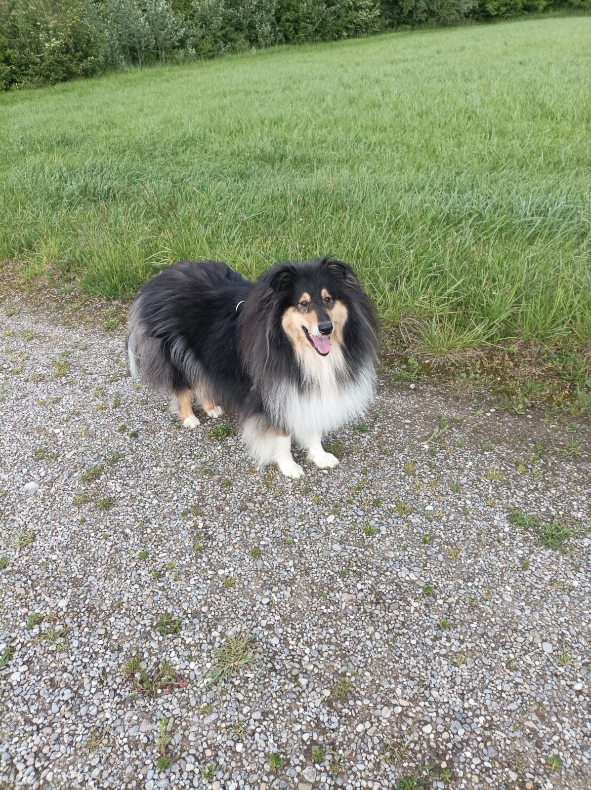 Holly mit 3 Jahren 