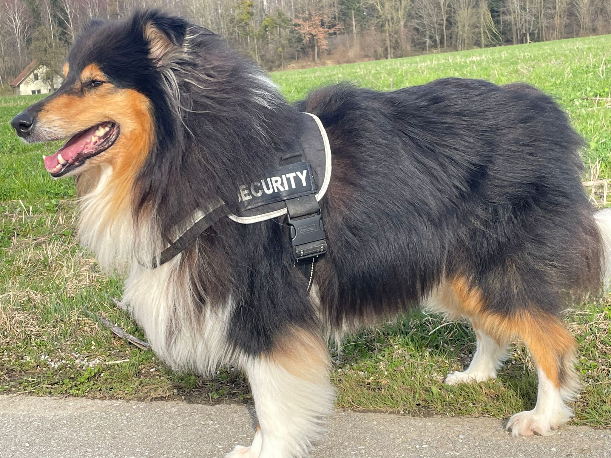 Ernie mit 5 Jahren 