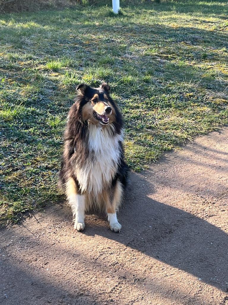 Charly Brown mit 5 Jahren 