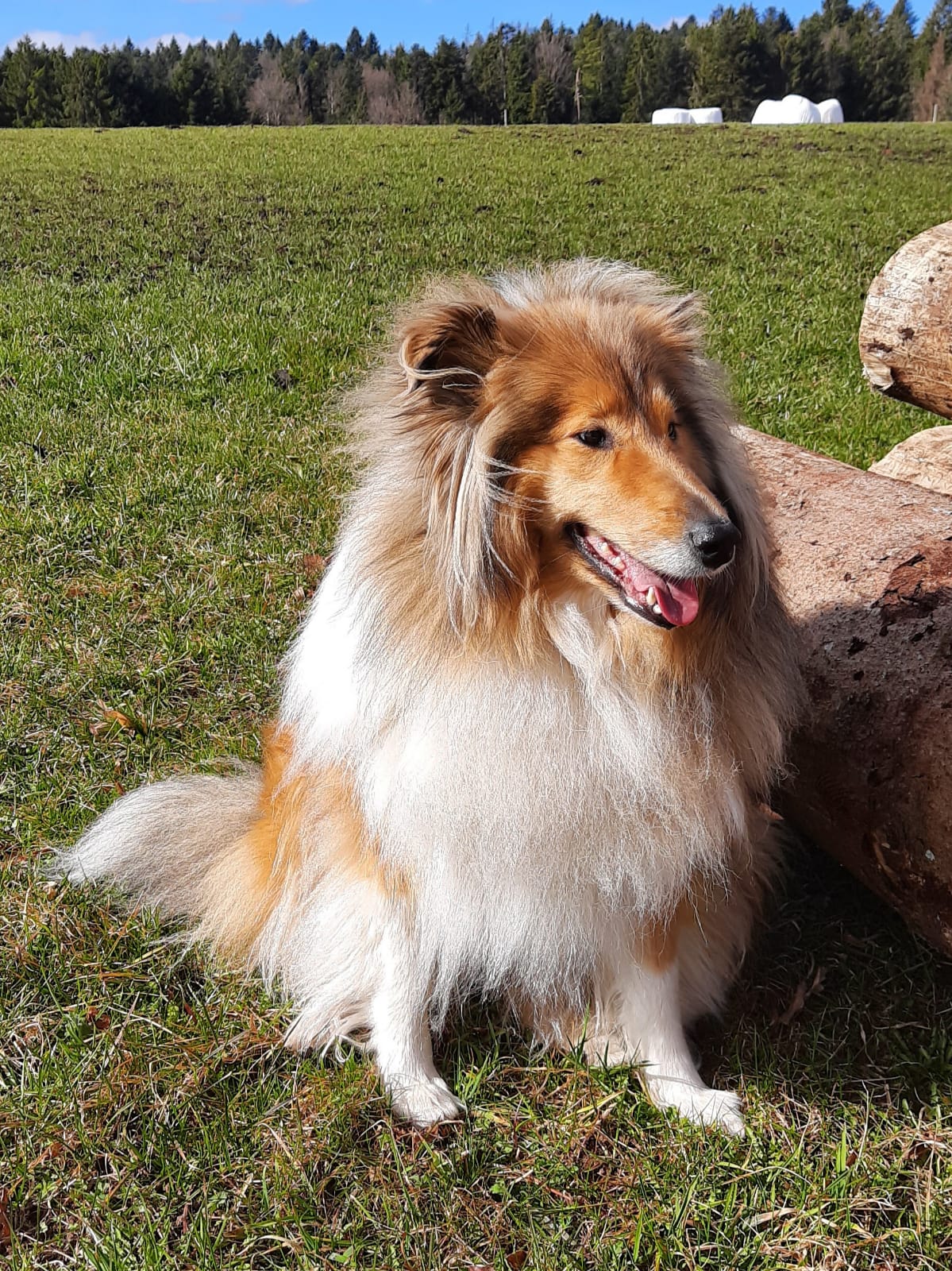 Elsa mit 3 Jahren