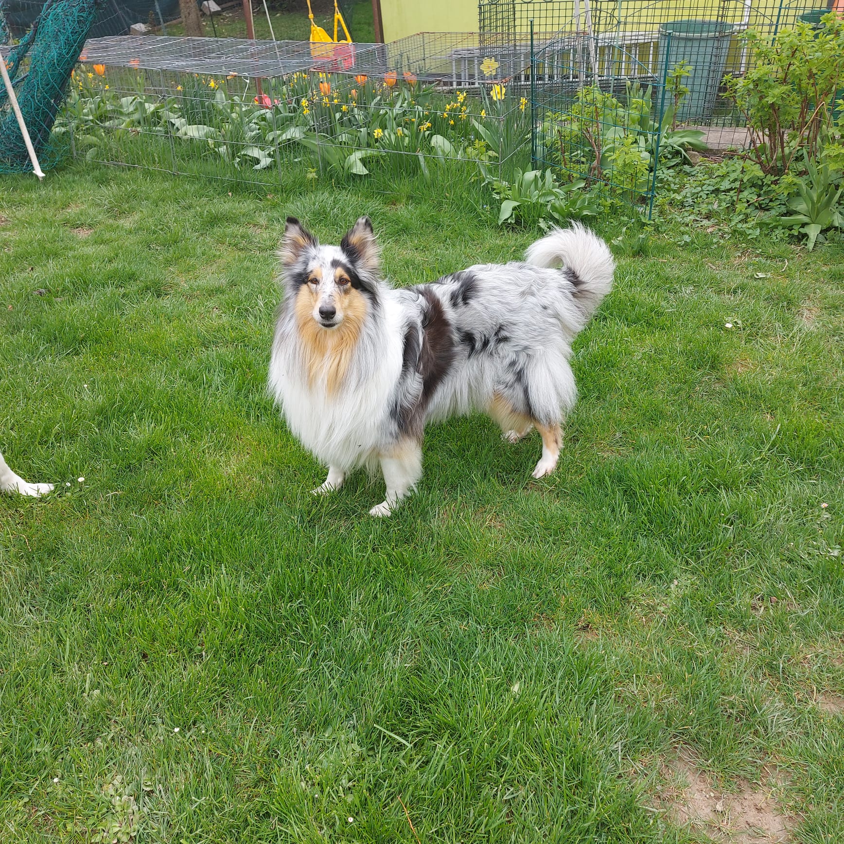 Conny mit 6 Jahren 
