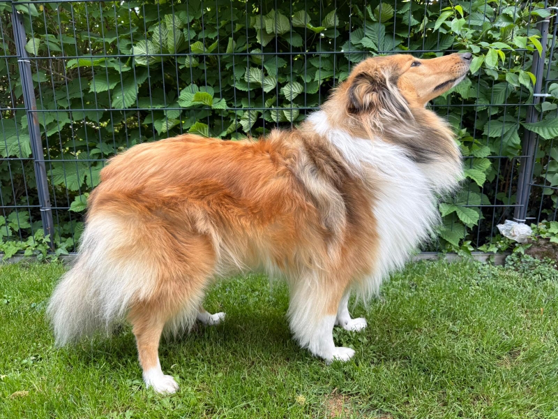 Klara mit 3 Jahren 