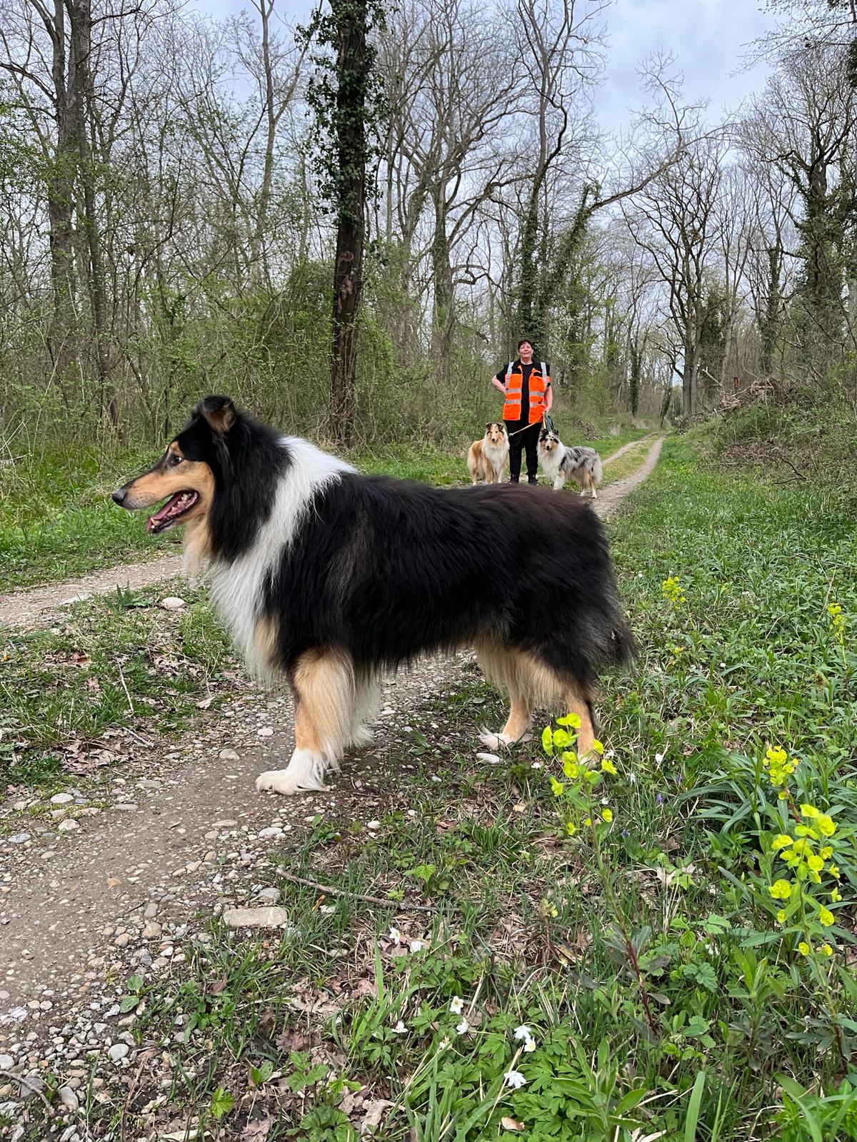 Charly Brown mit 6 Jahren 