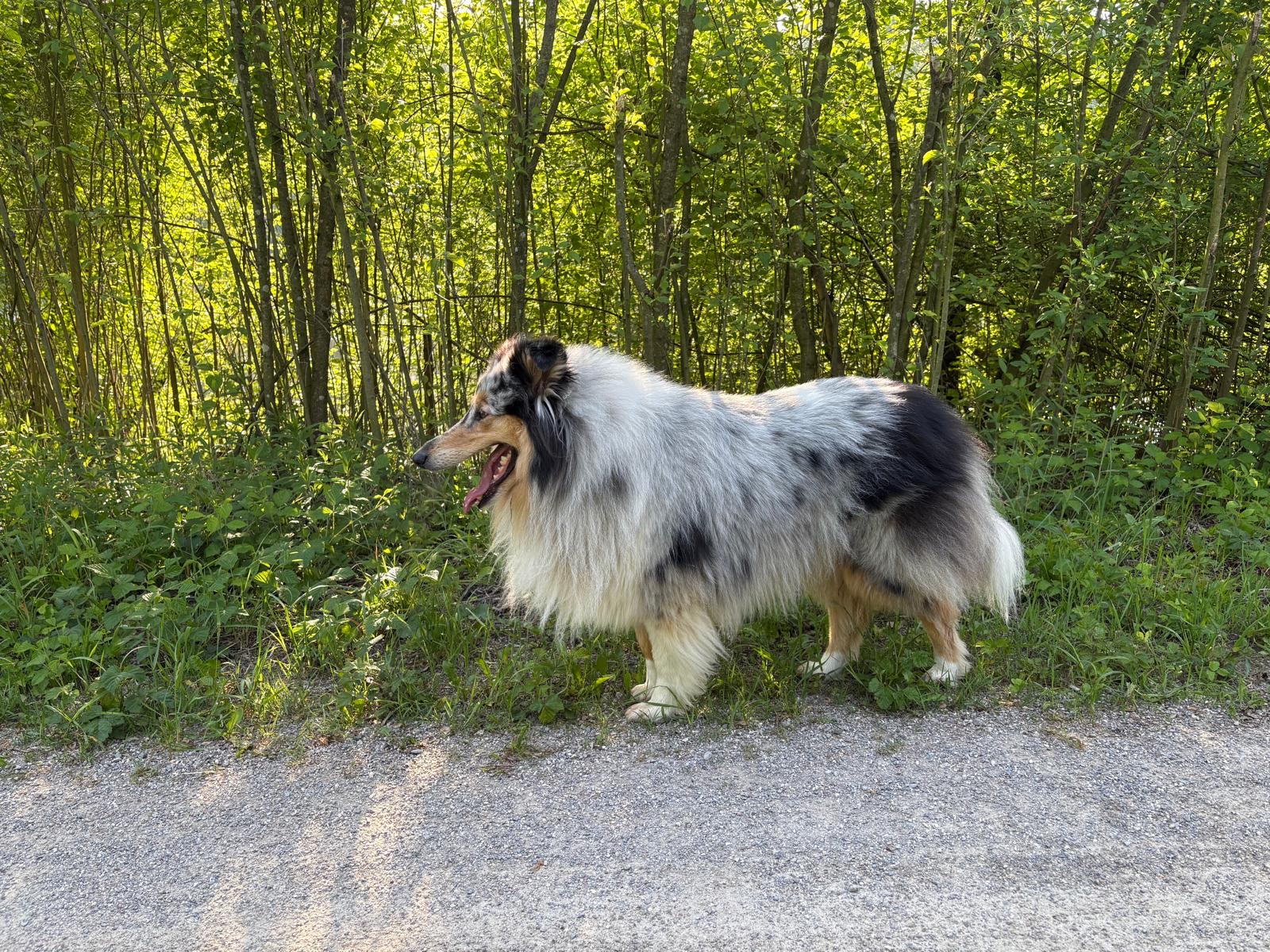 Juna mit 4 Jahren 