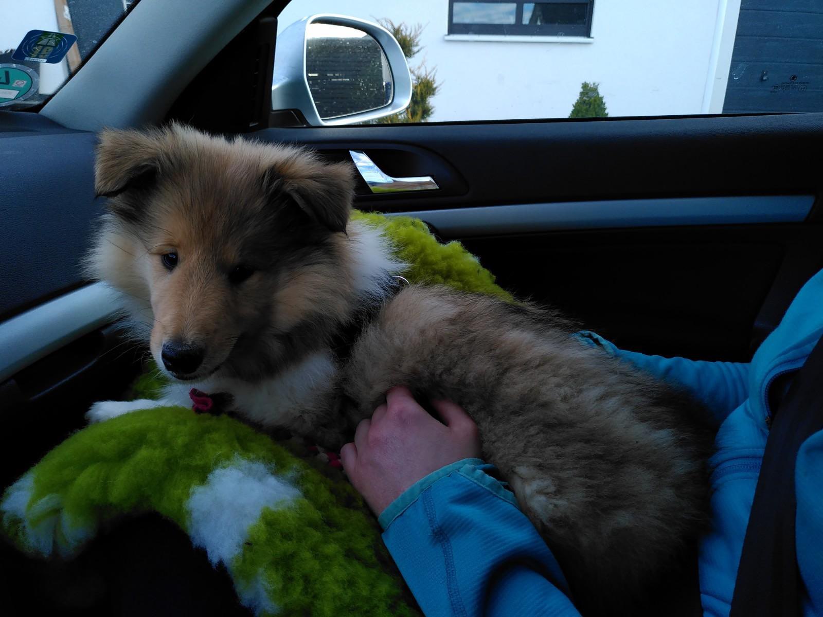 Ilana auf den Weg in ihr neues Zuhause