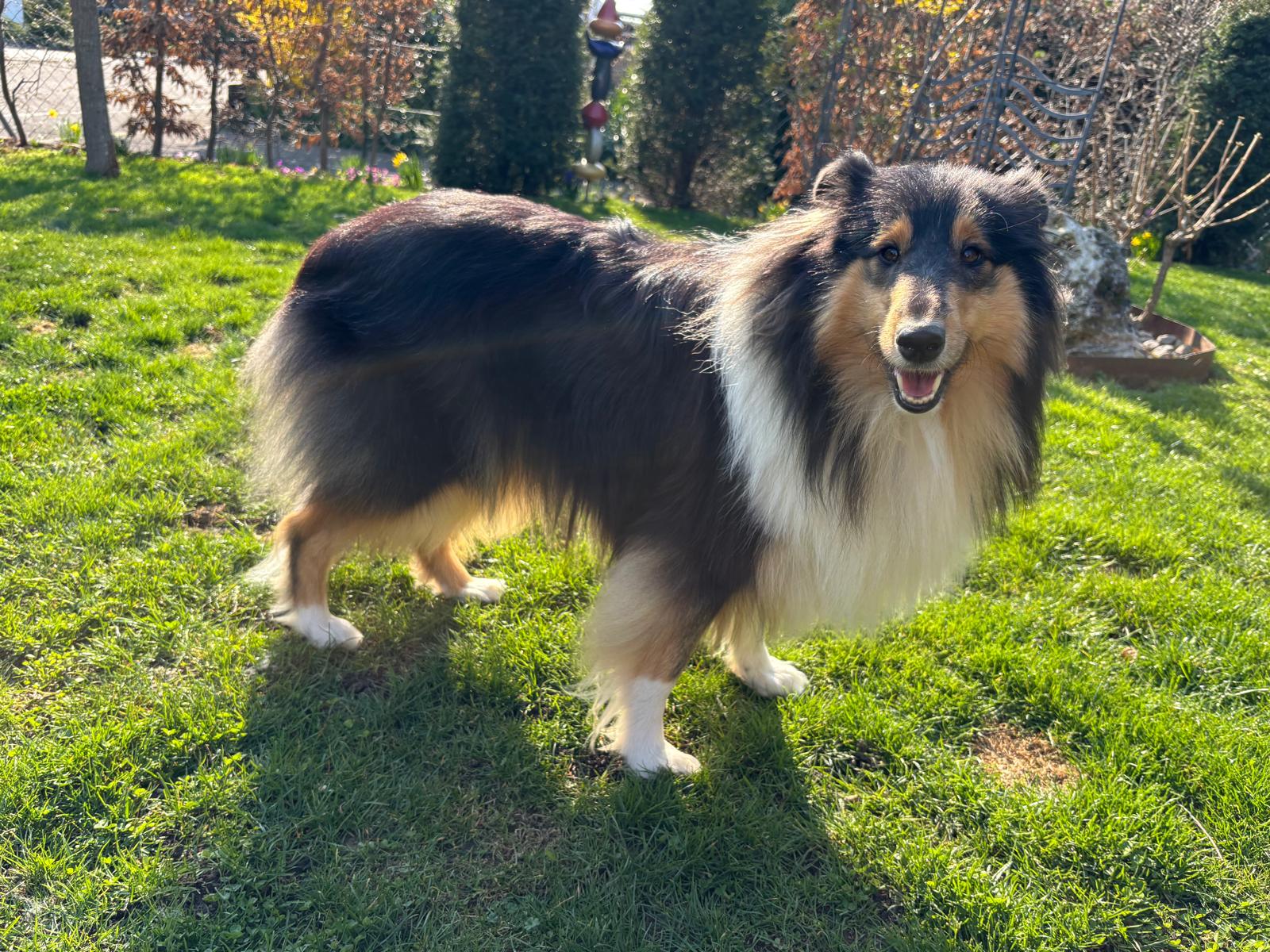 Nala mit 2 Jahren 