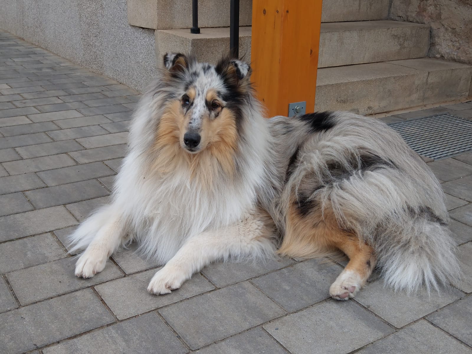 Cindy mit ca. 15 Monaten